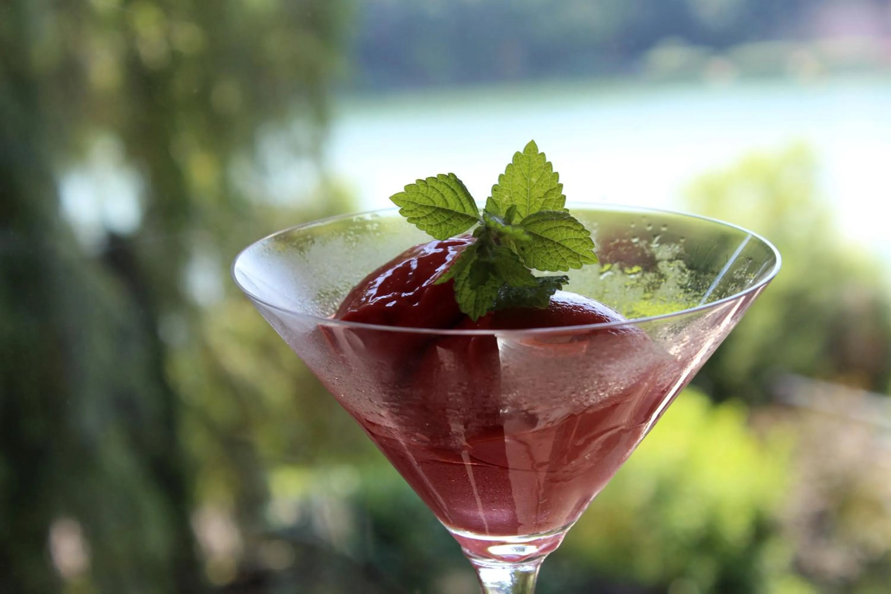 Restaurant/places to eat in Tó Wellness Hotel