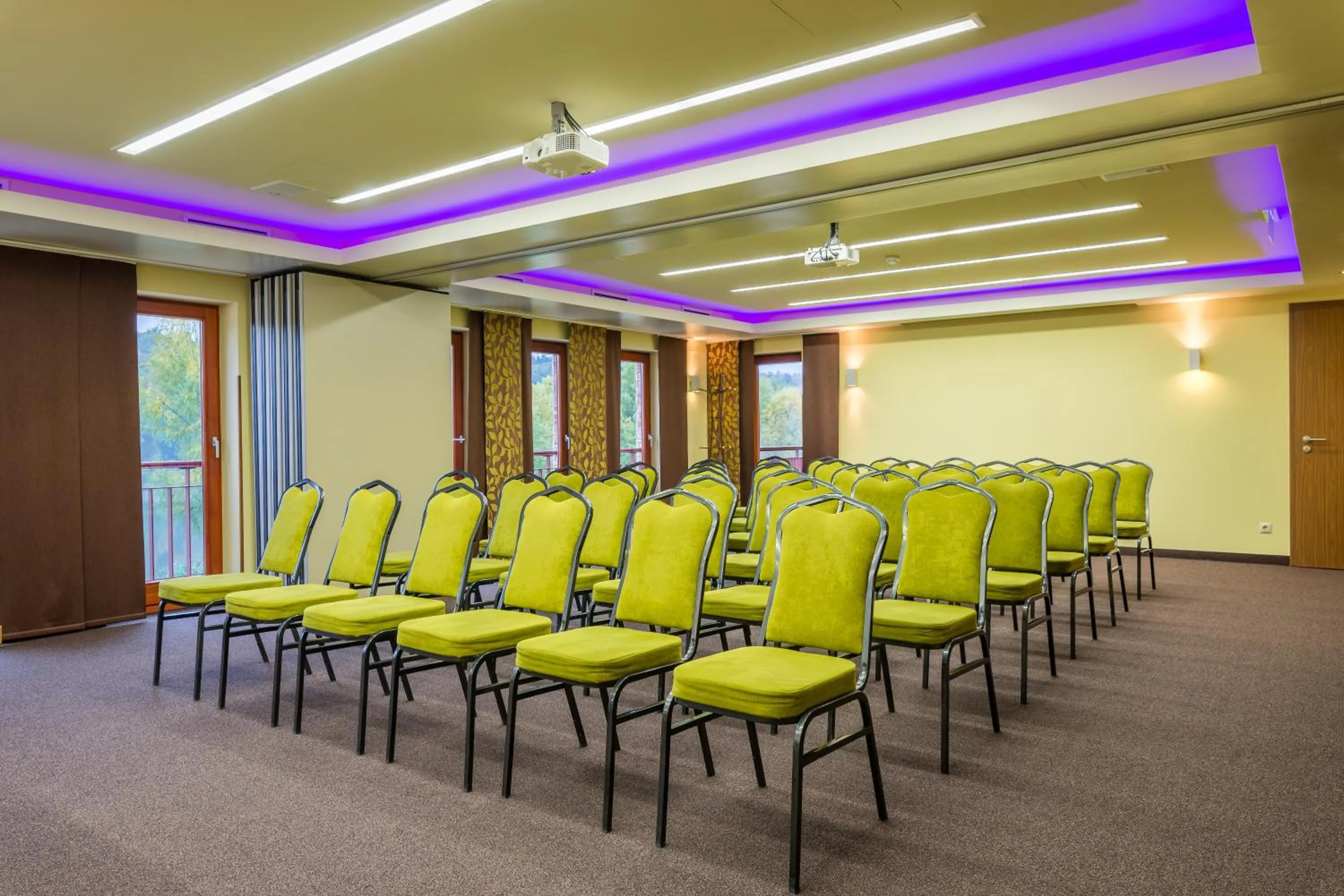 Business facilities in Tó Wellness Hotel