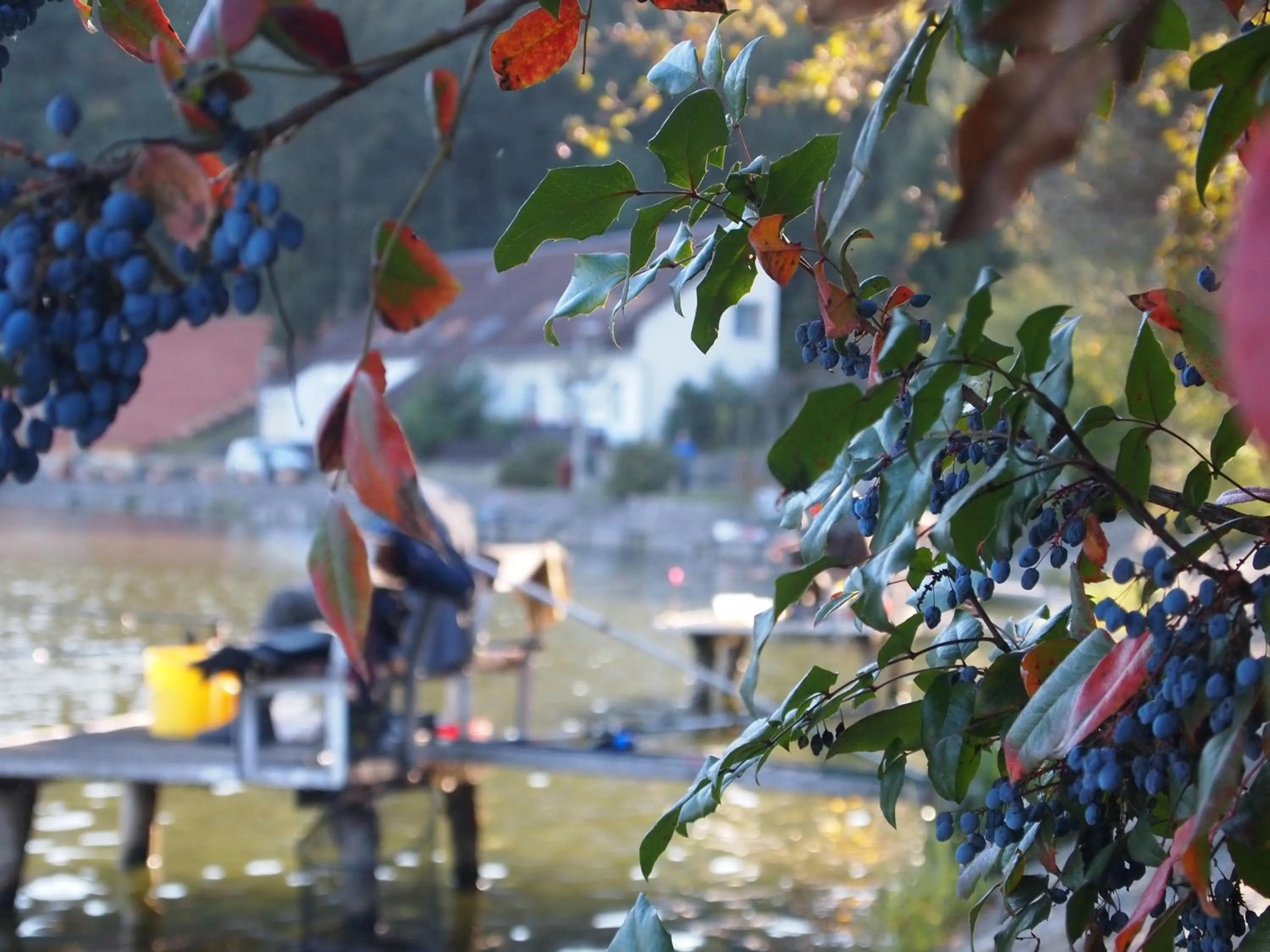 People in Tó Wellness Hotel