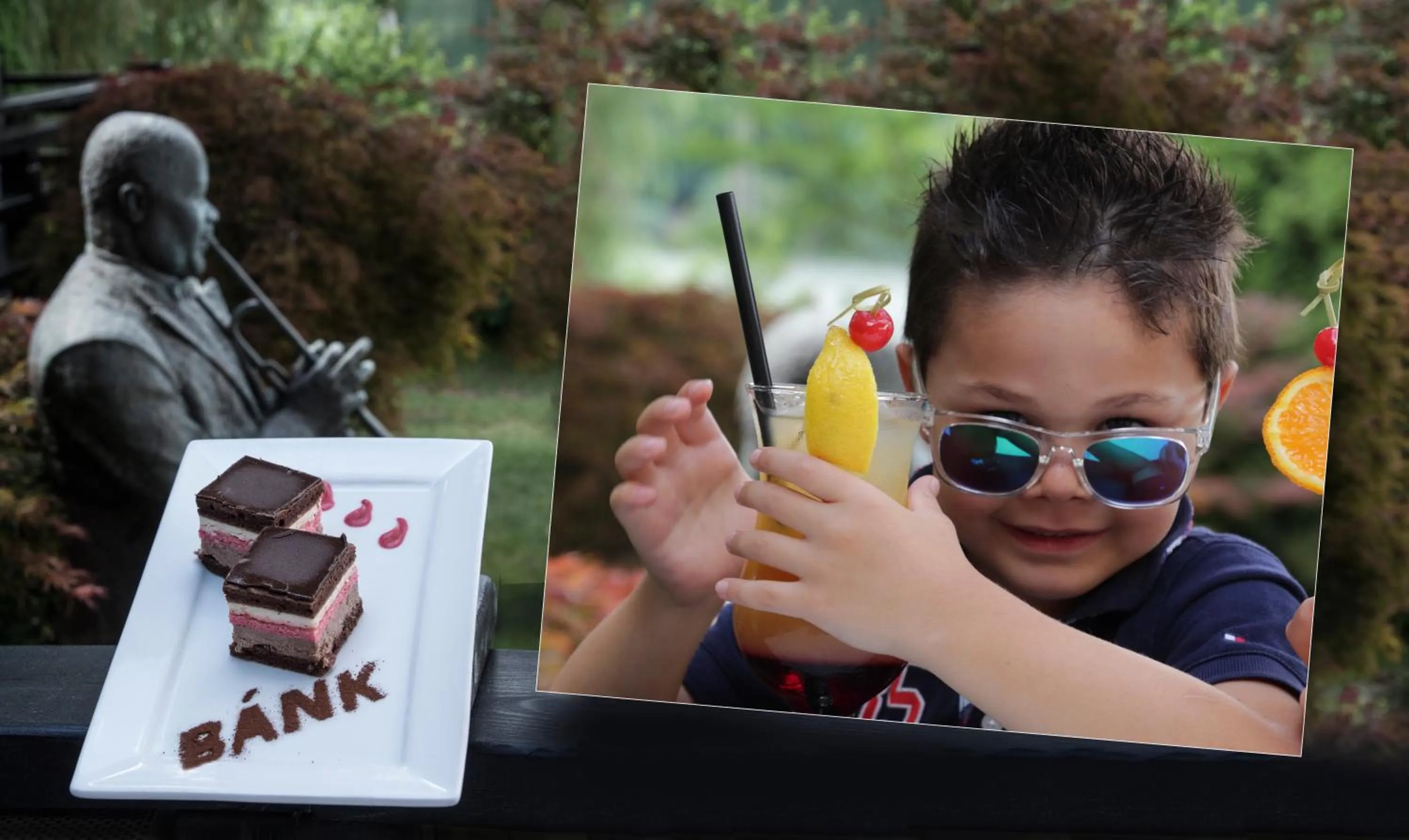 Restaurant/places to eat in Tó Wellness Hotel