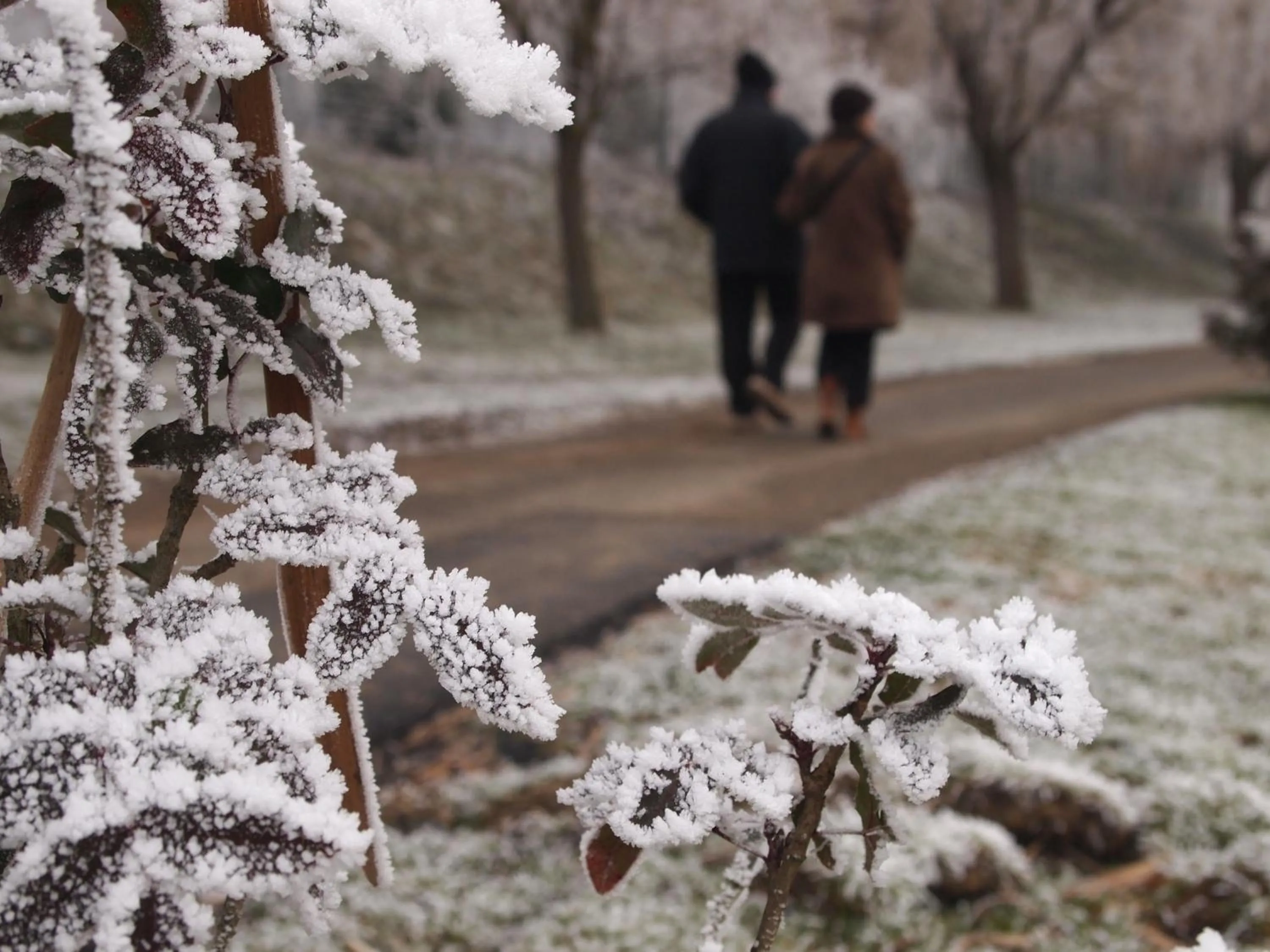 Off site in Tó Wellness Hotel