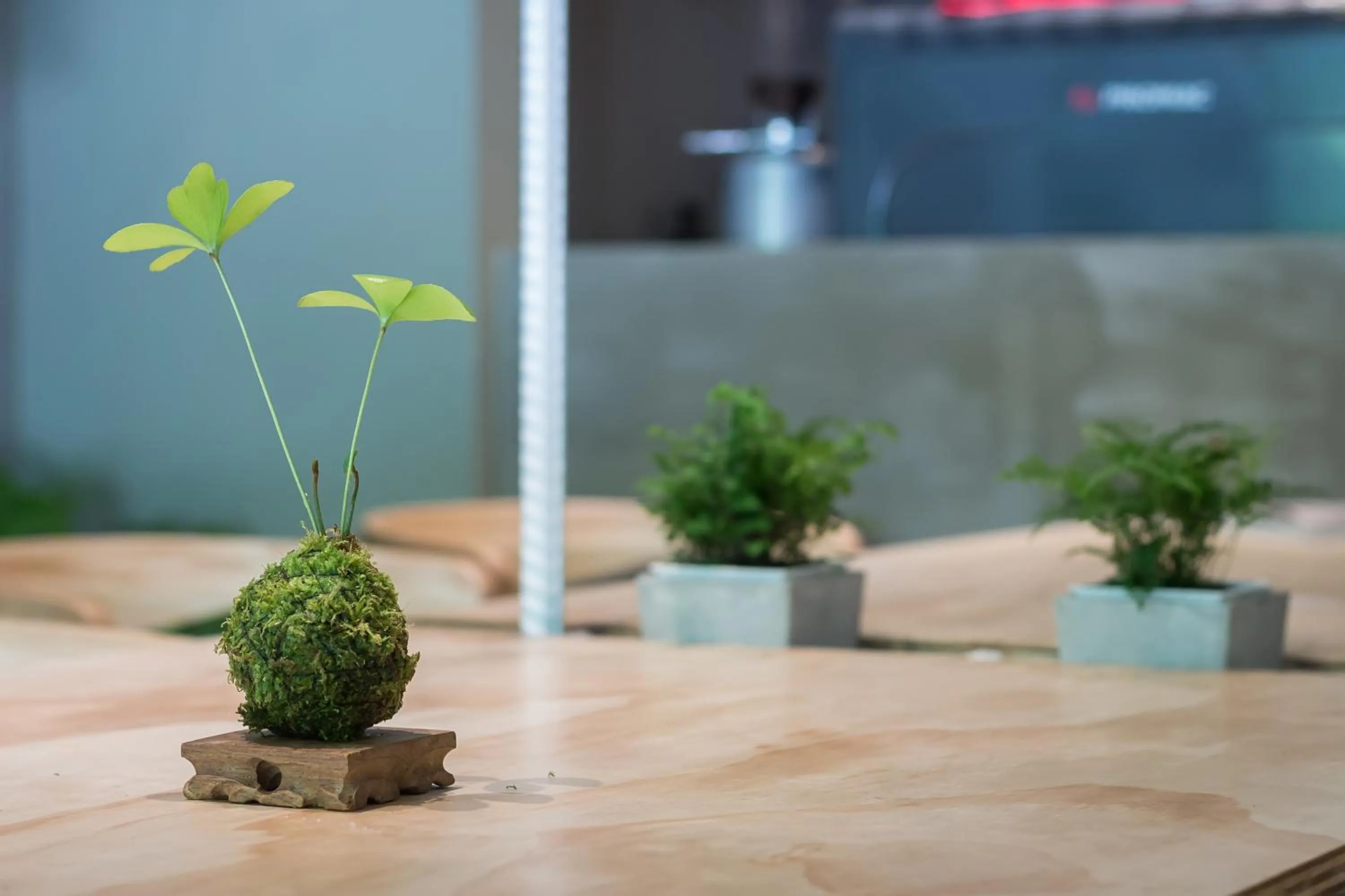 Restaurant/places to eat in Shaoguang 188 日月潭勺光188