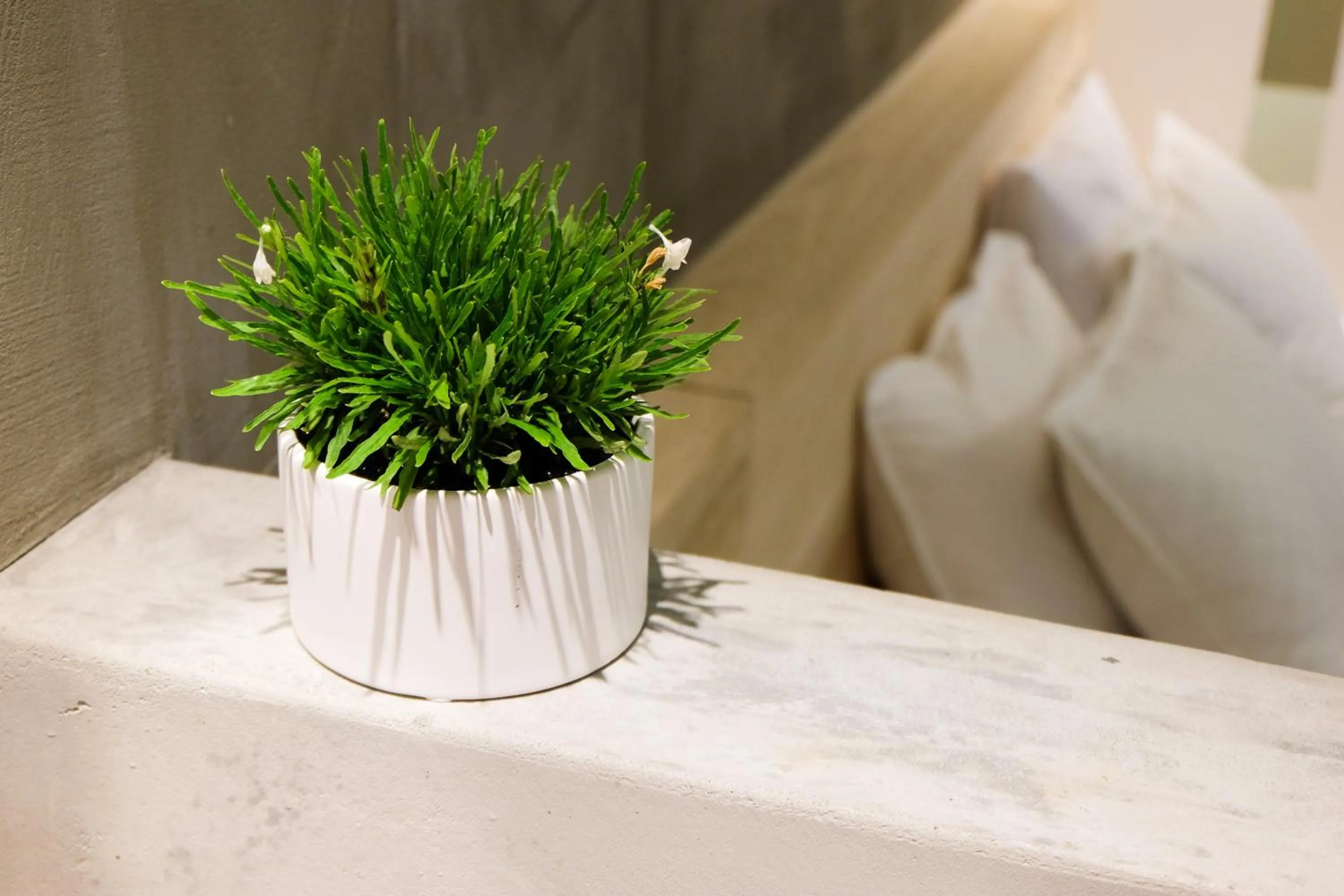 Decorative detail, Bed in Shaoguang 188 日月潭勺光188