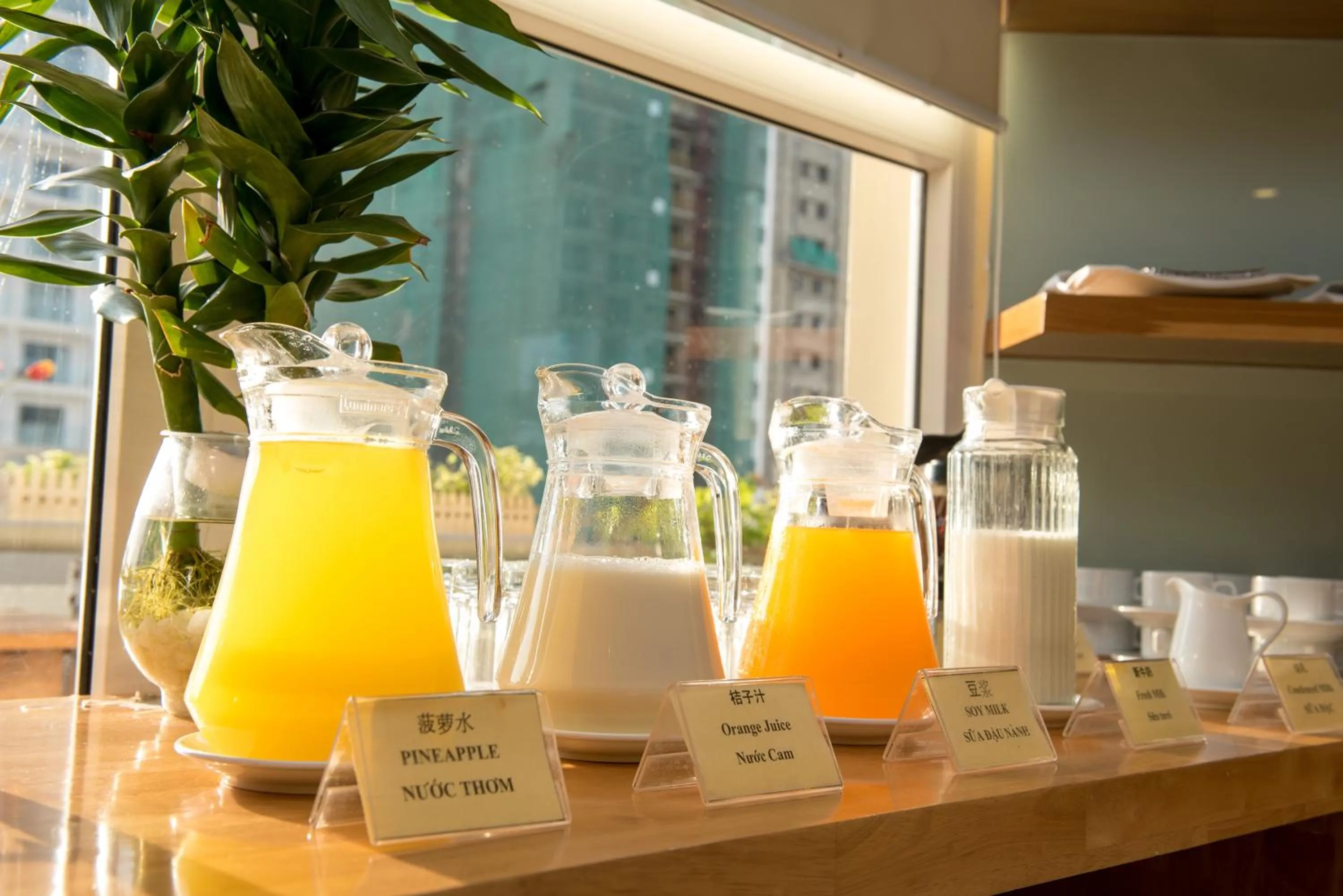 Drinks in Nhat Minh Hotel and Apartment