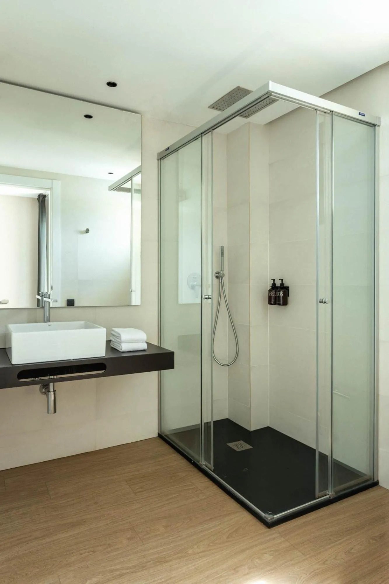 Toilet in Hotel Terradets