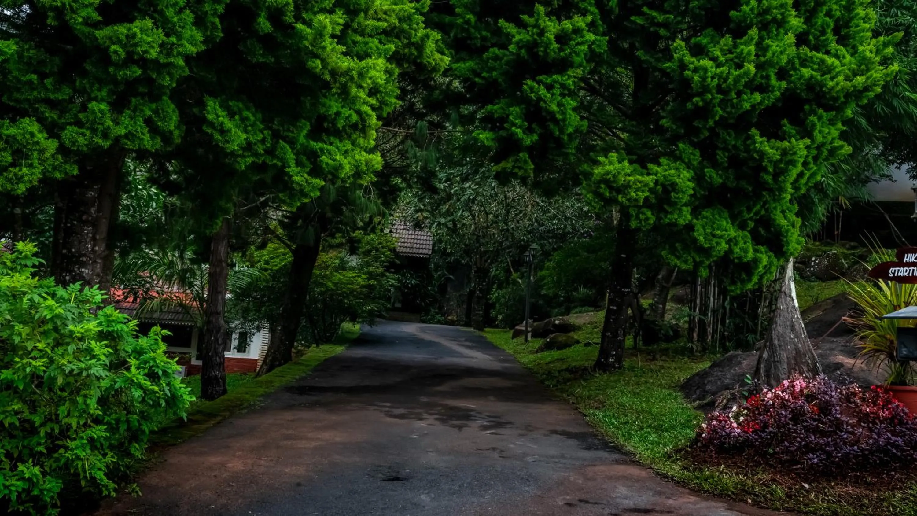 Spring in Mount Xanadu Resorts