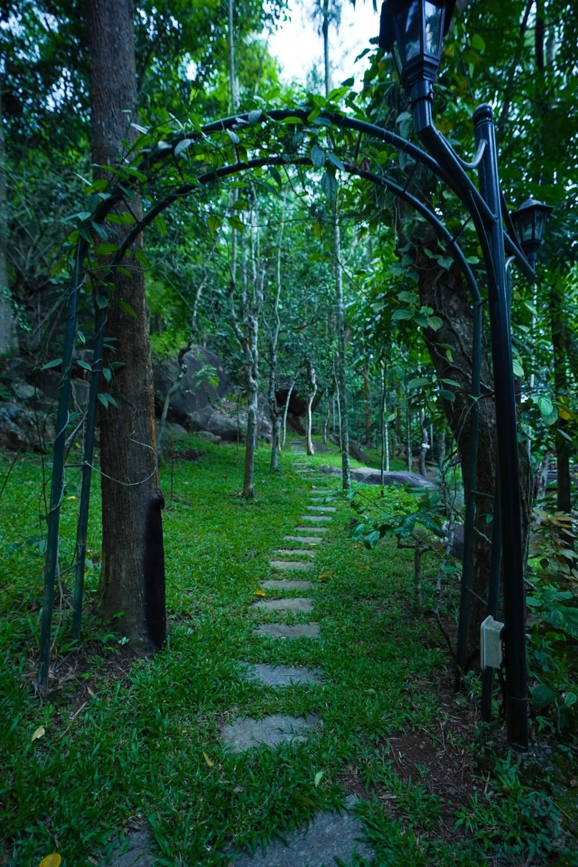 Day in Mount Xanadu Resorts