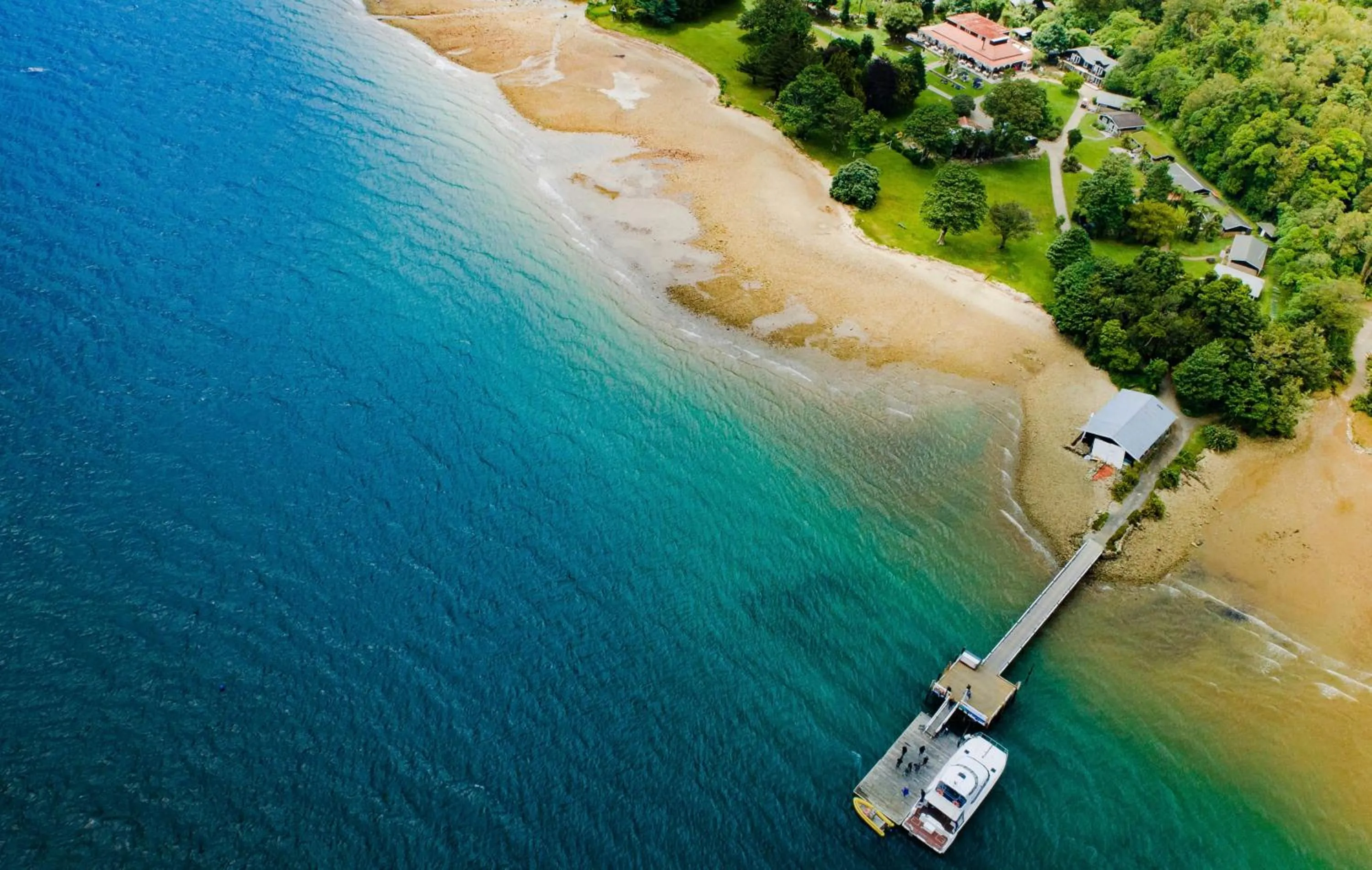 Beach in Furneaux Lodge