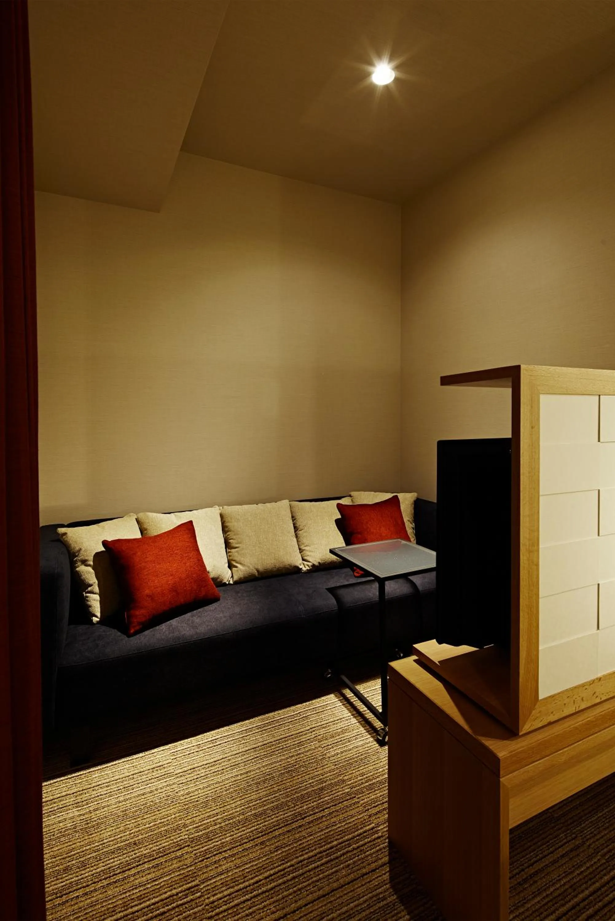 TV and multimedia in Candeo Hotels Matsuyama Okaido