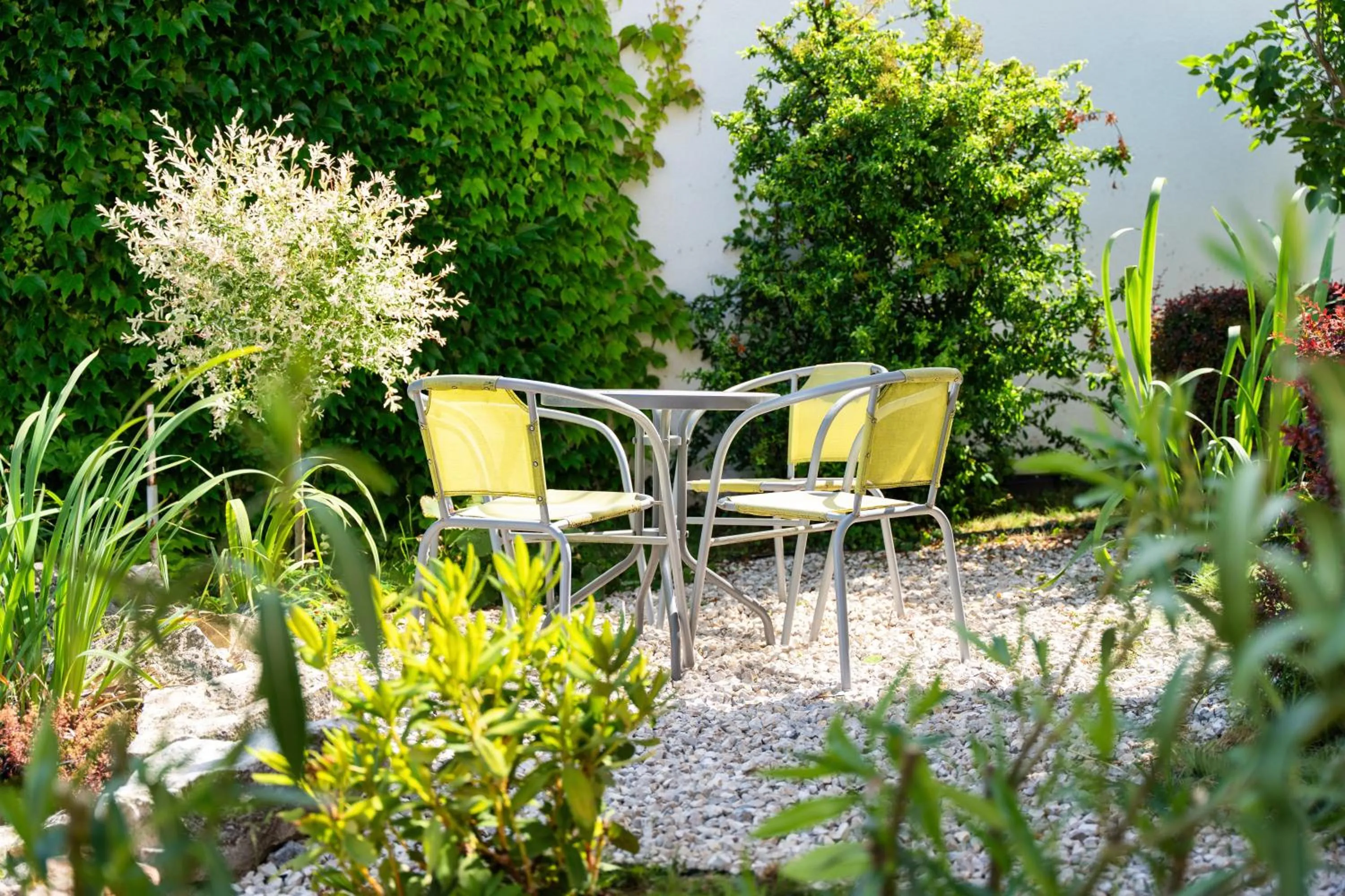 Garden in OÁZIS Hotel***