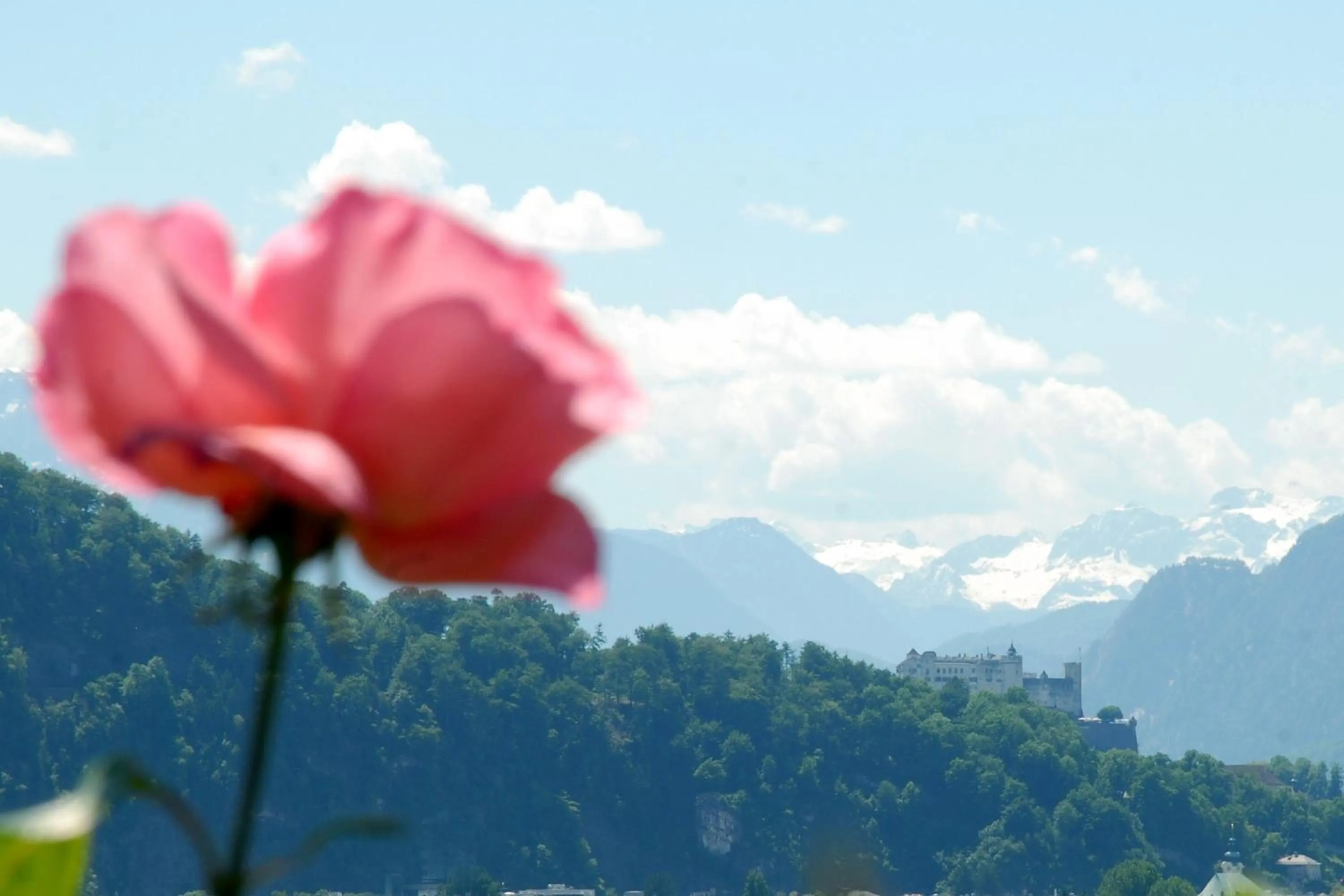 City view in Haus Salzburgblick (ehem. Haus Elisabeth)