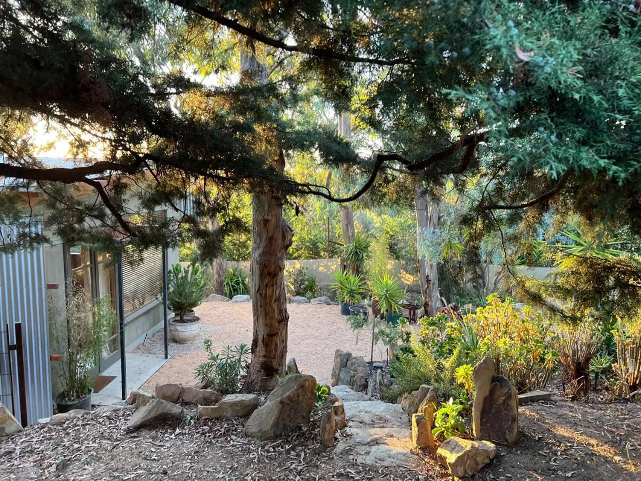 Garden in be&be castlemaine