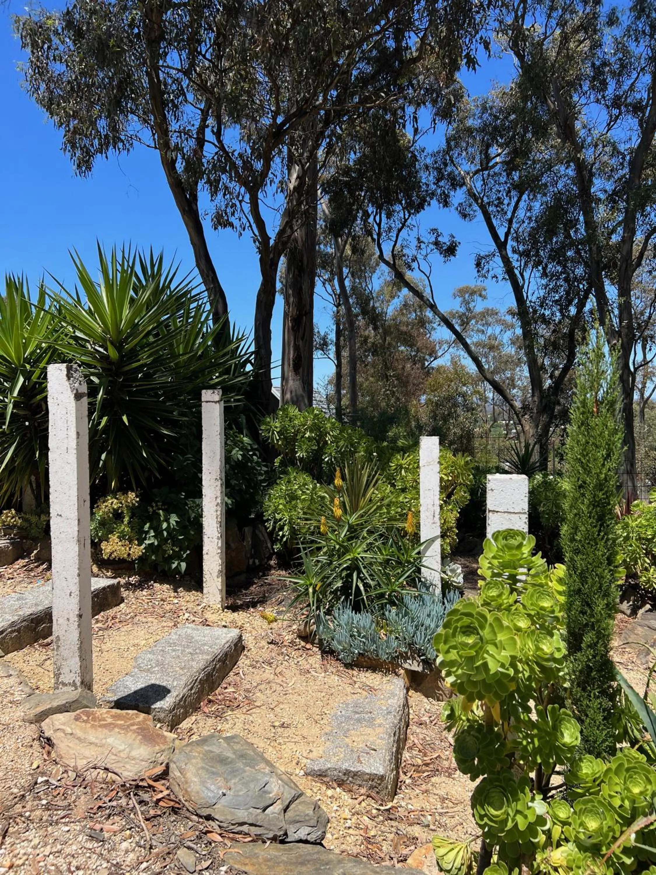 Garden in be&be castlemaine