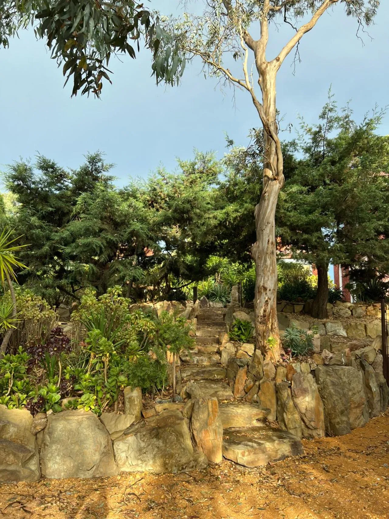 Garden view in be&be castlemaine