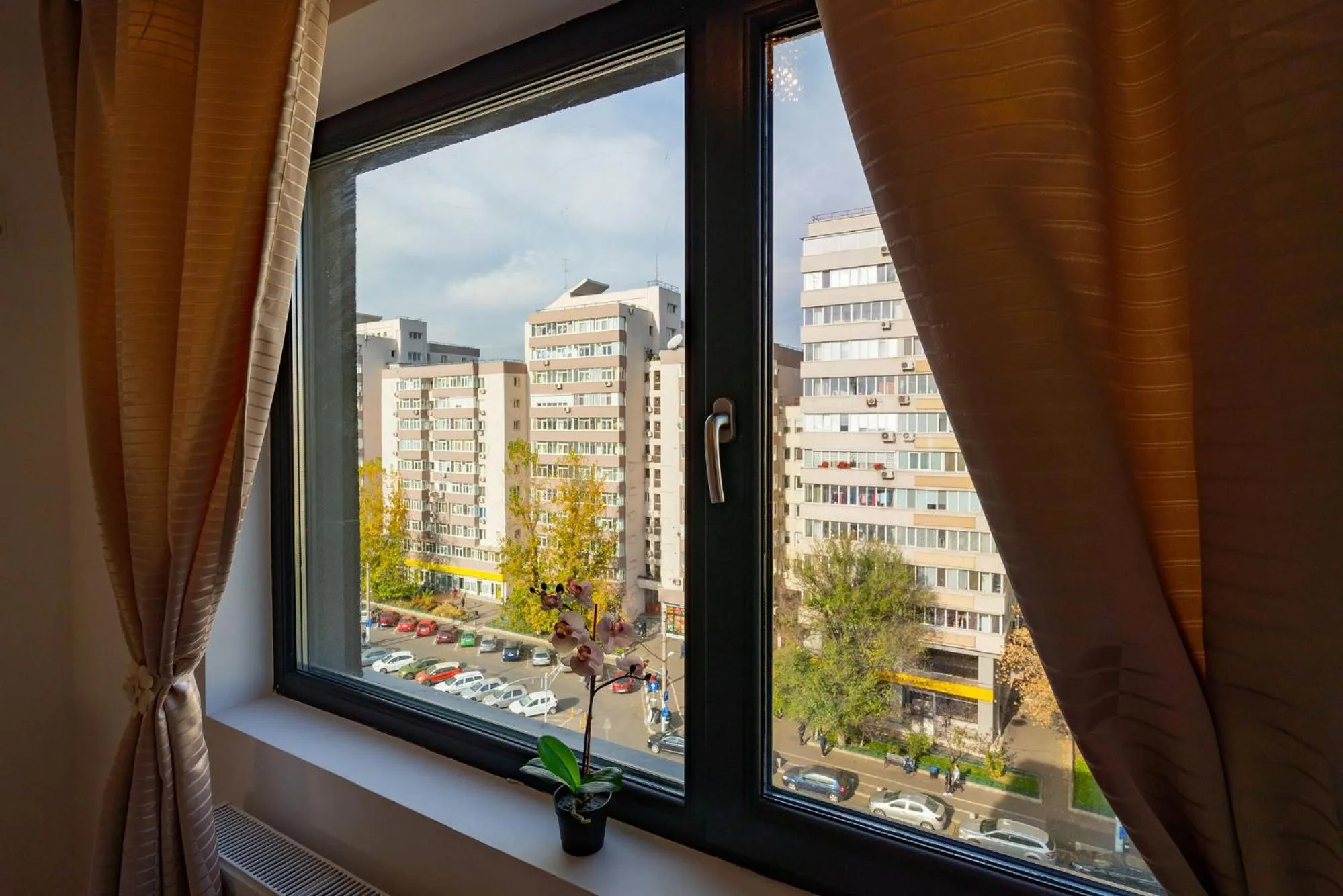 View (from property/room) in Lujerului Studio