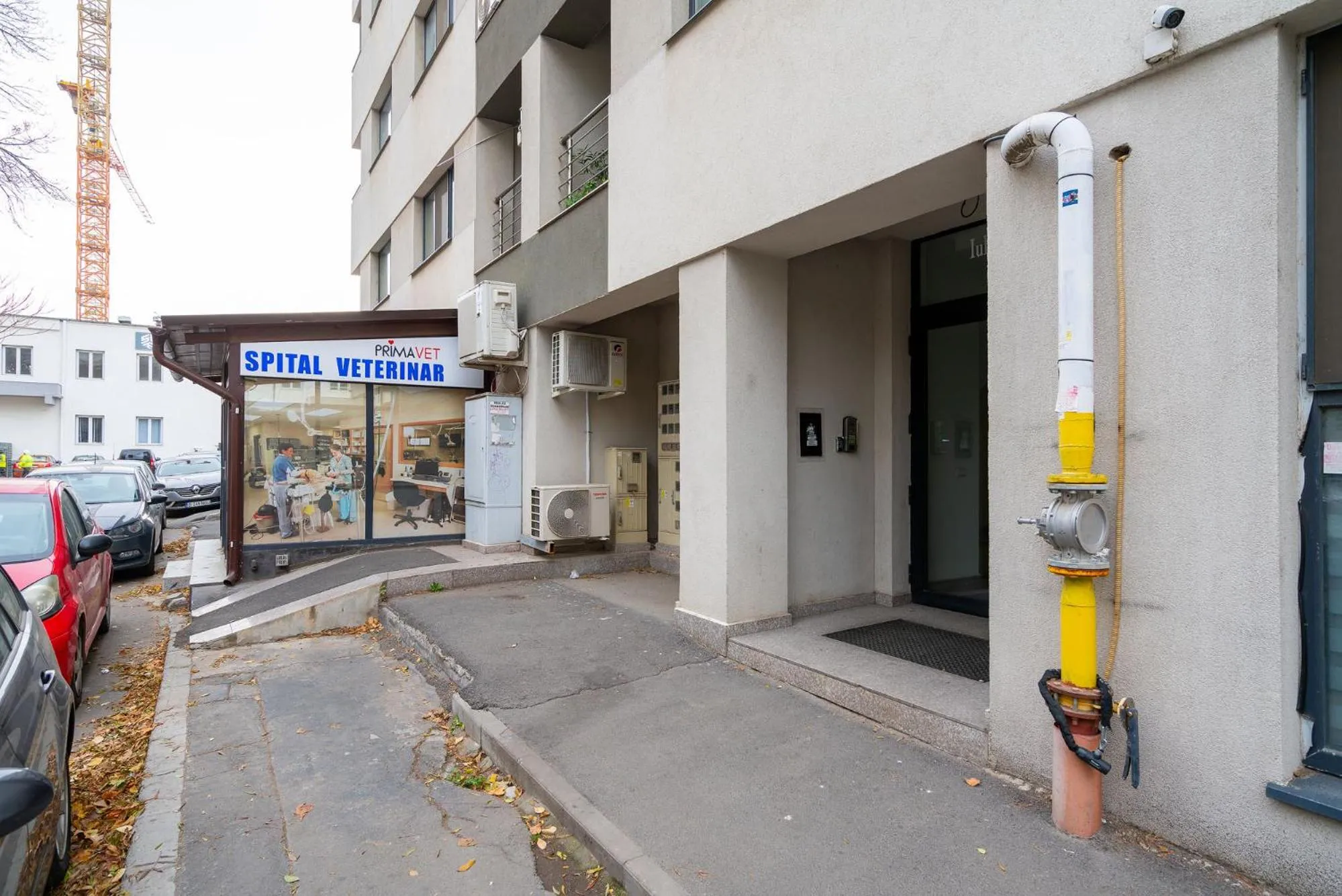 Facade/entrance in Lujerului Studio