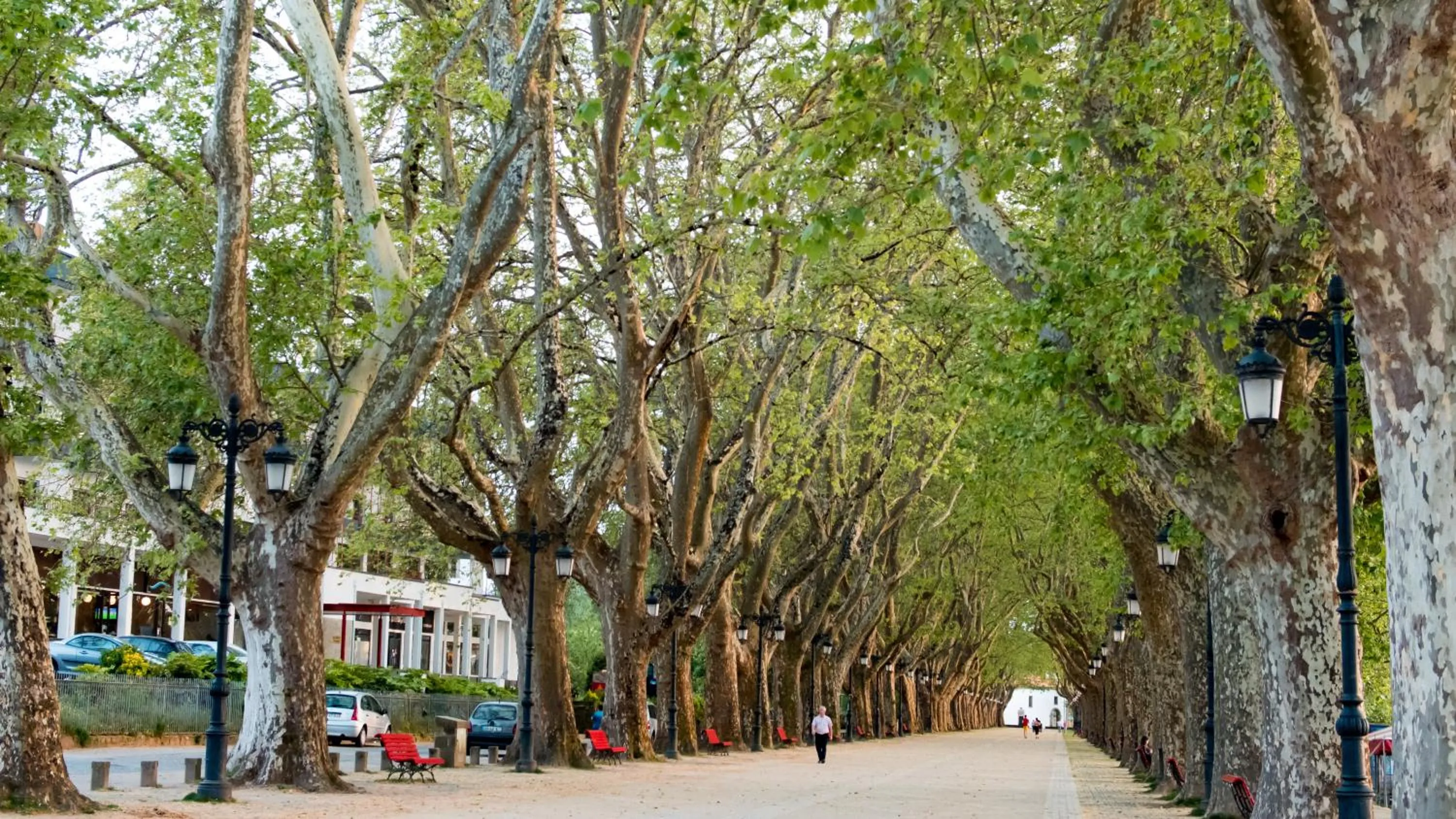 Property building in Hotel Império do Norte