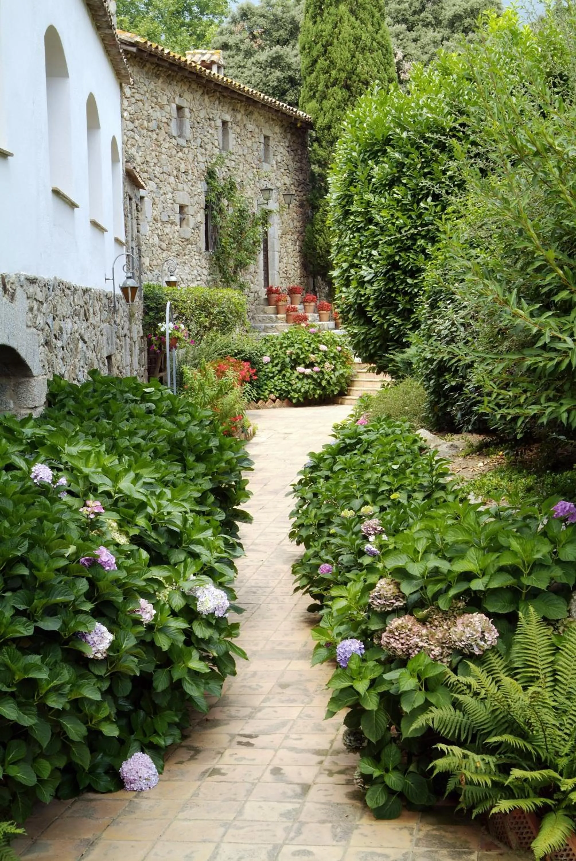 Decorative detail in Els Caçadors de Maçanet