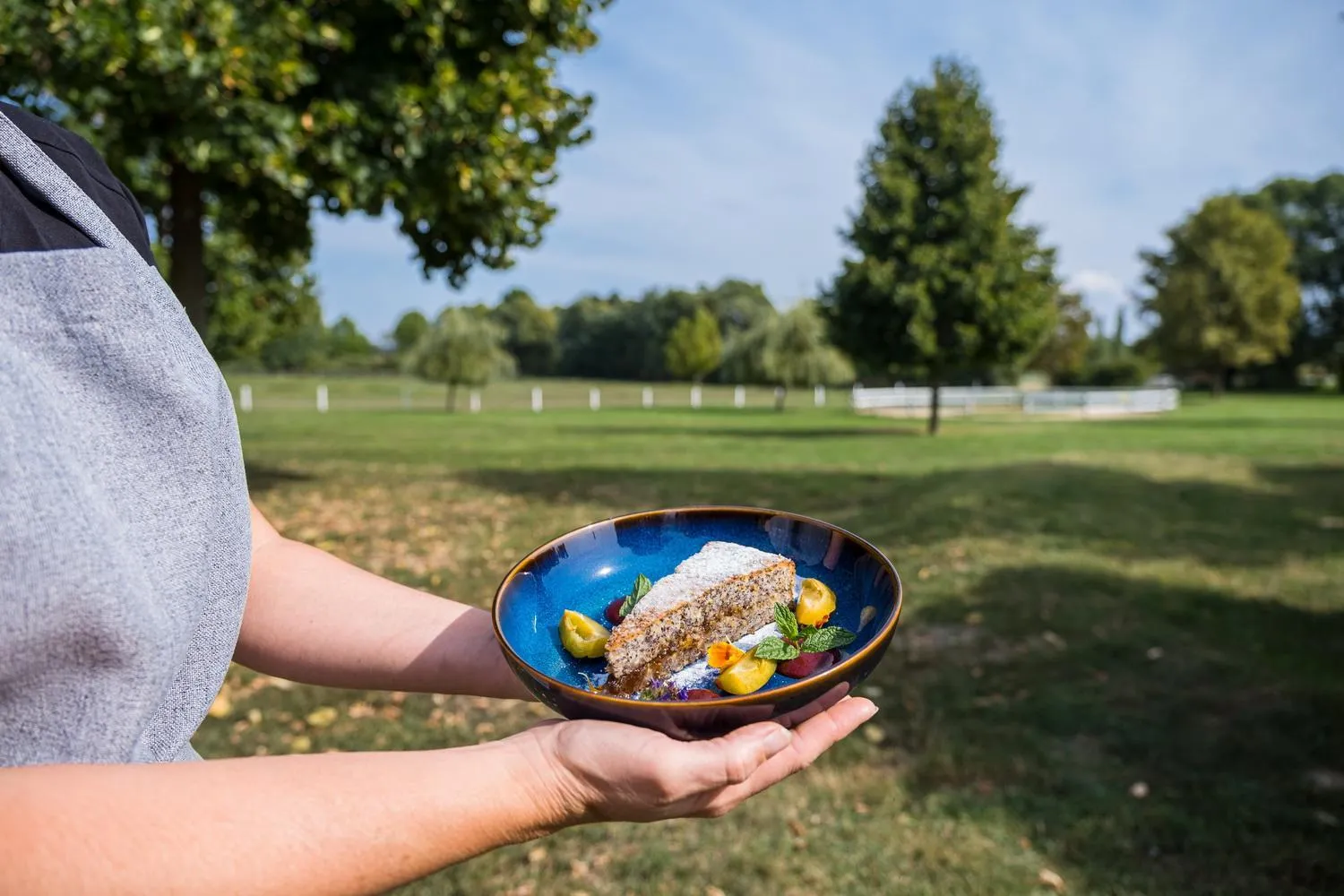 Food in Matild Country Hotel