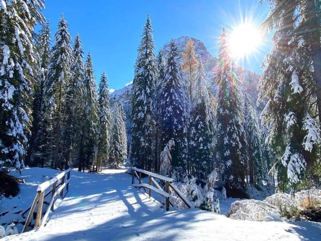 Natural landscape in Hotel B&B Lorenzini Ski