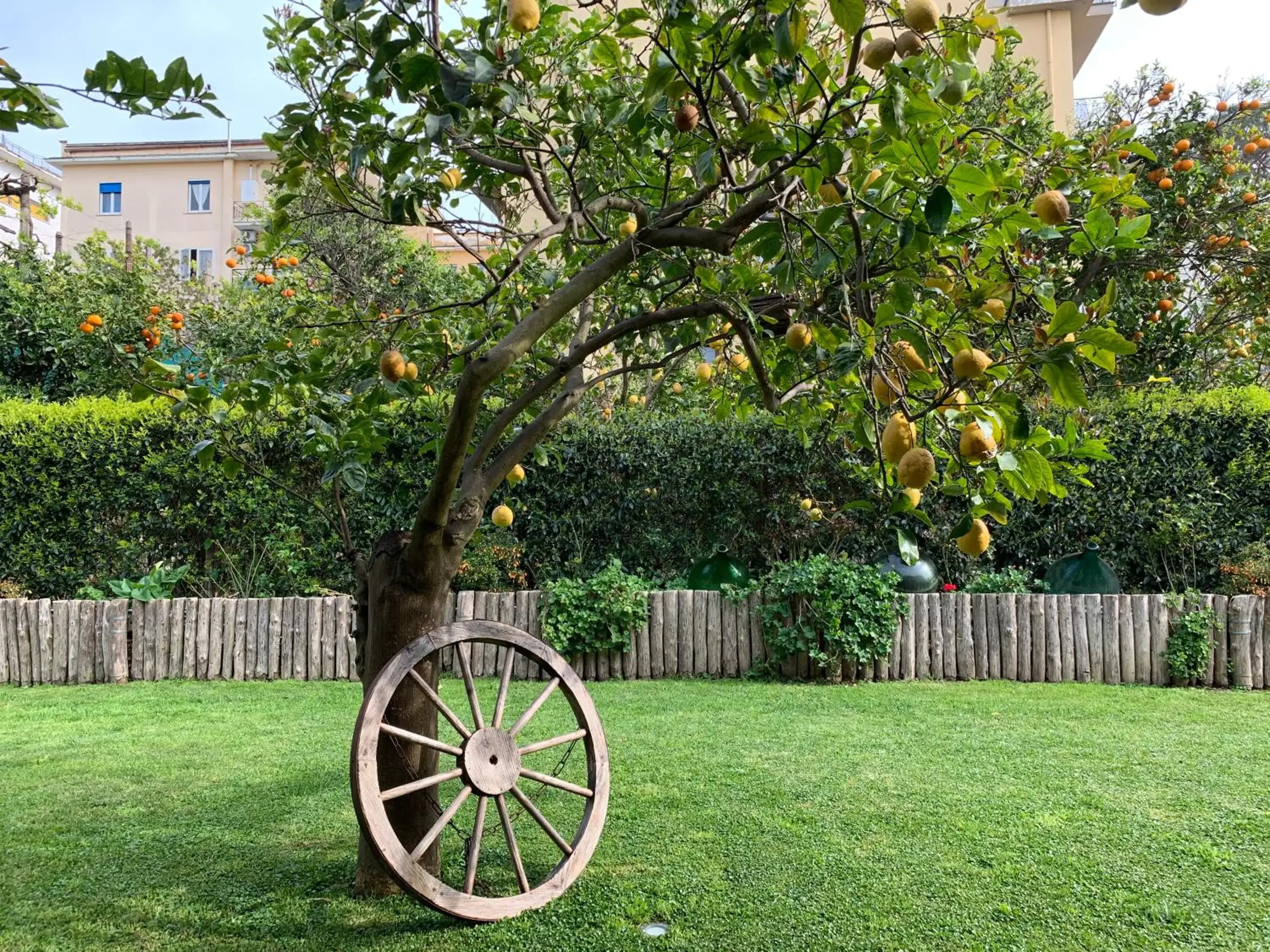 Double Room in Giardino Sorrentino Double Room in Giardino Sorrentino