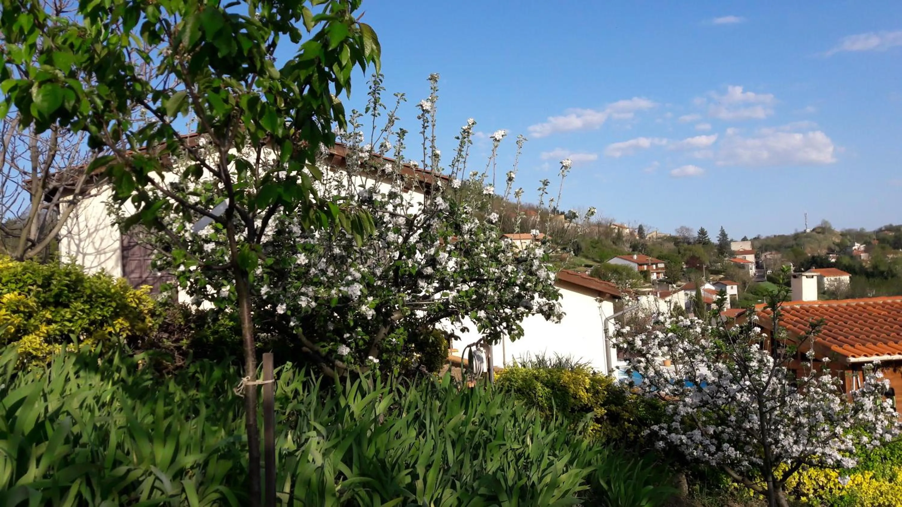 chambre chez mamie do
