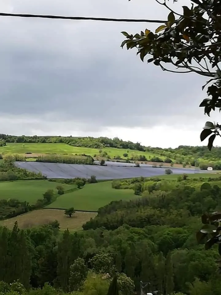 chambre chez mamie do