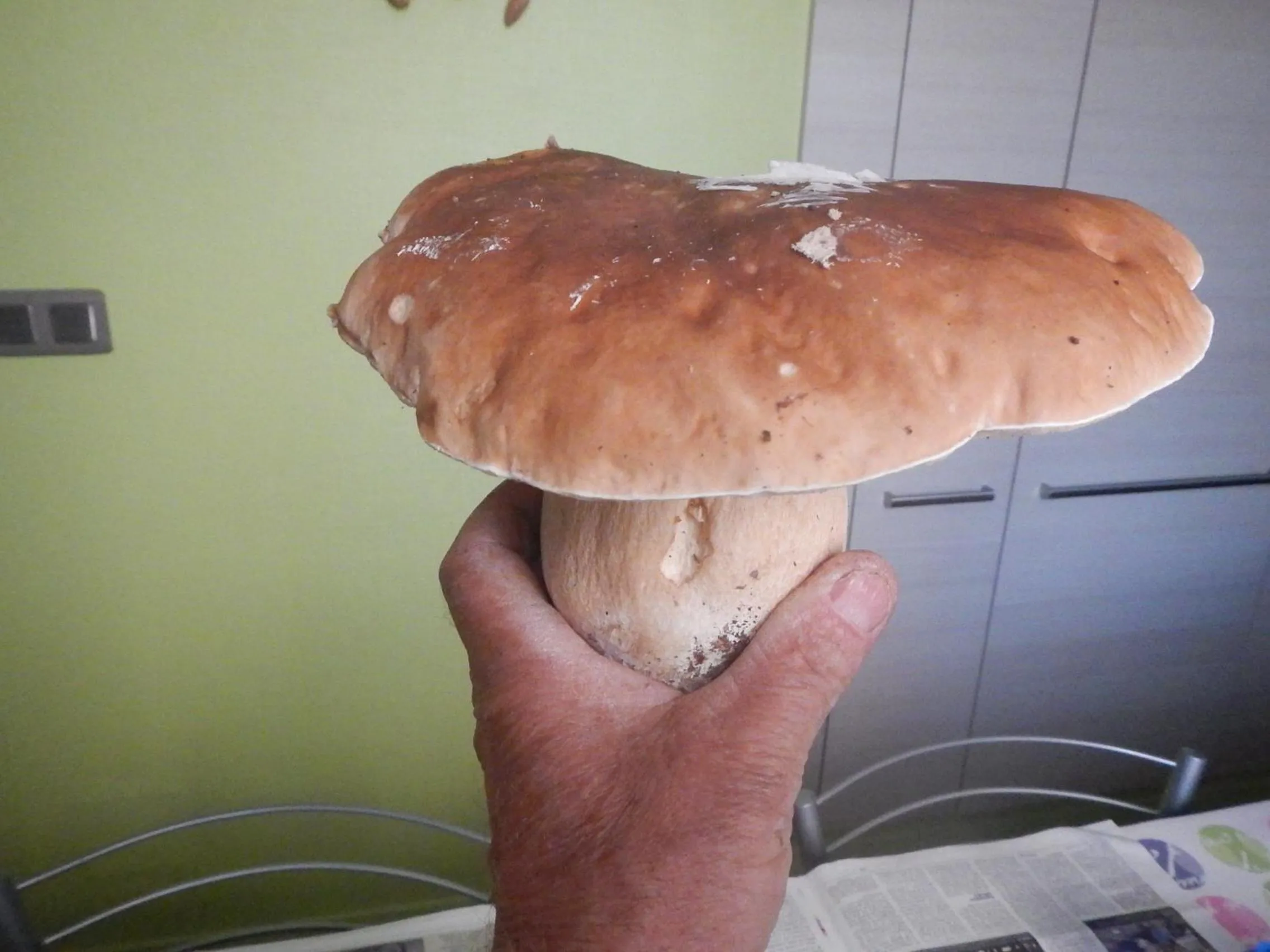 Autumn in chambre chez mamie do