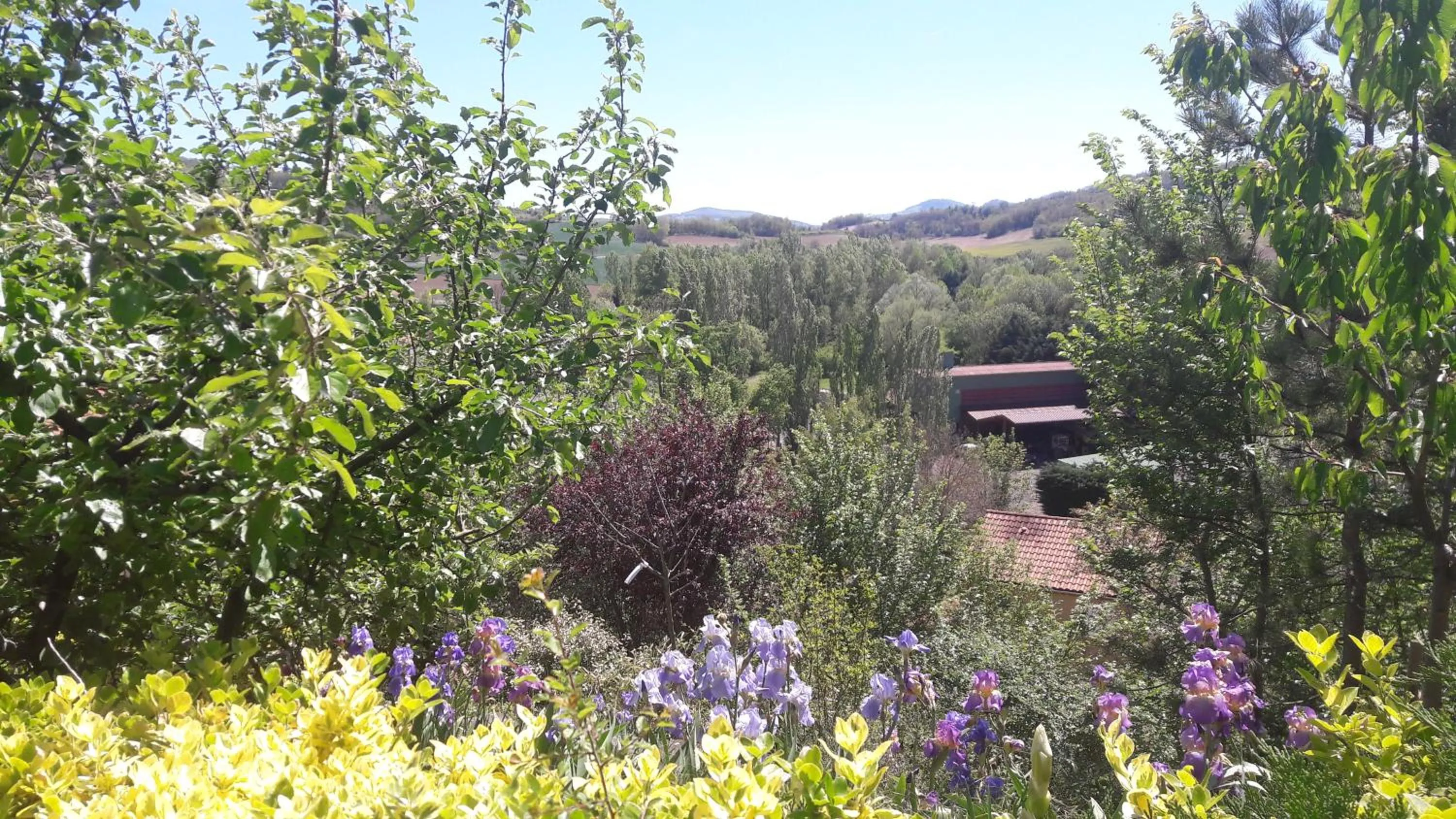 chambre chez mamie do
