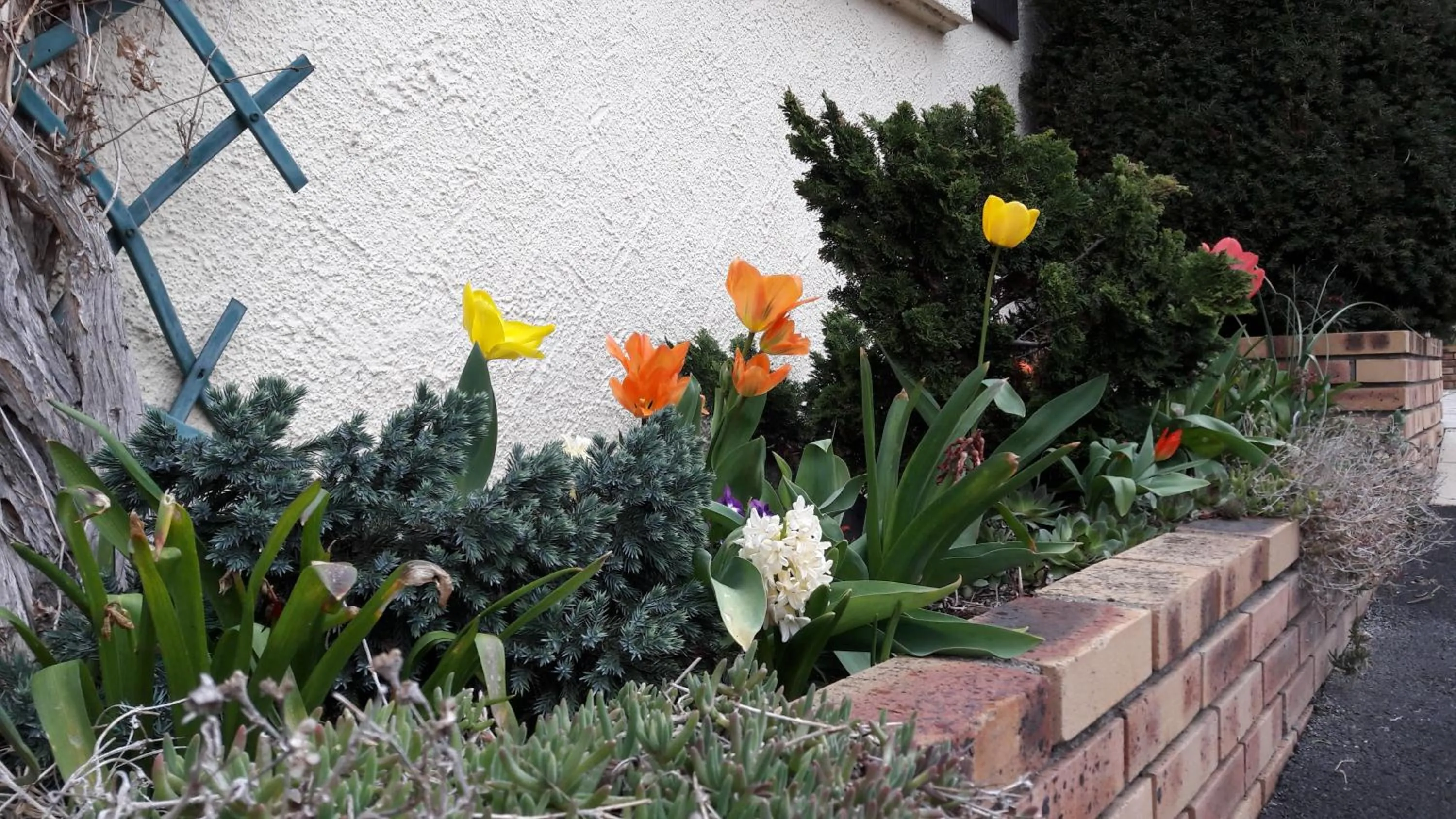chambre chez mamie do
