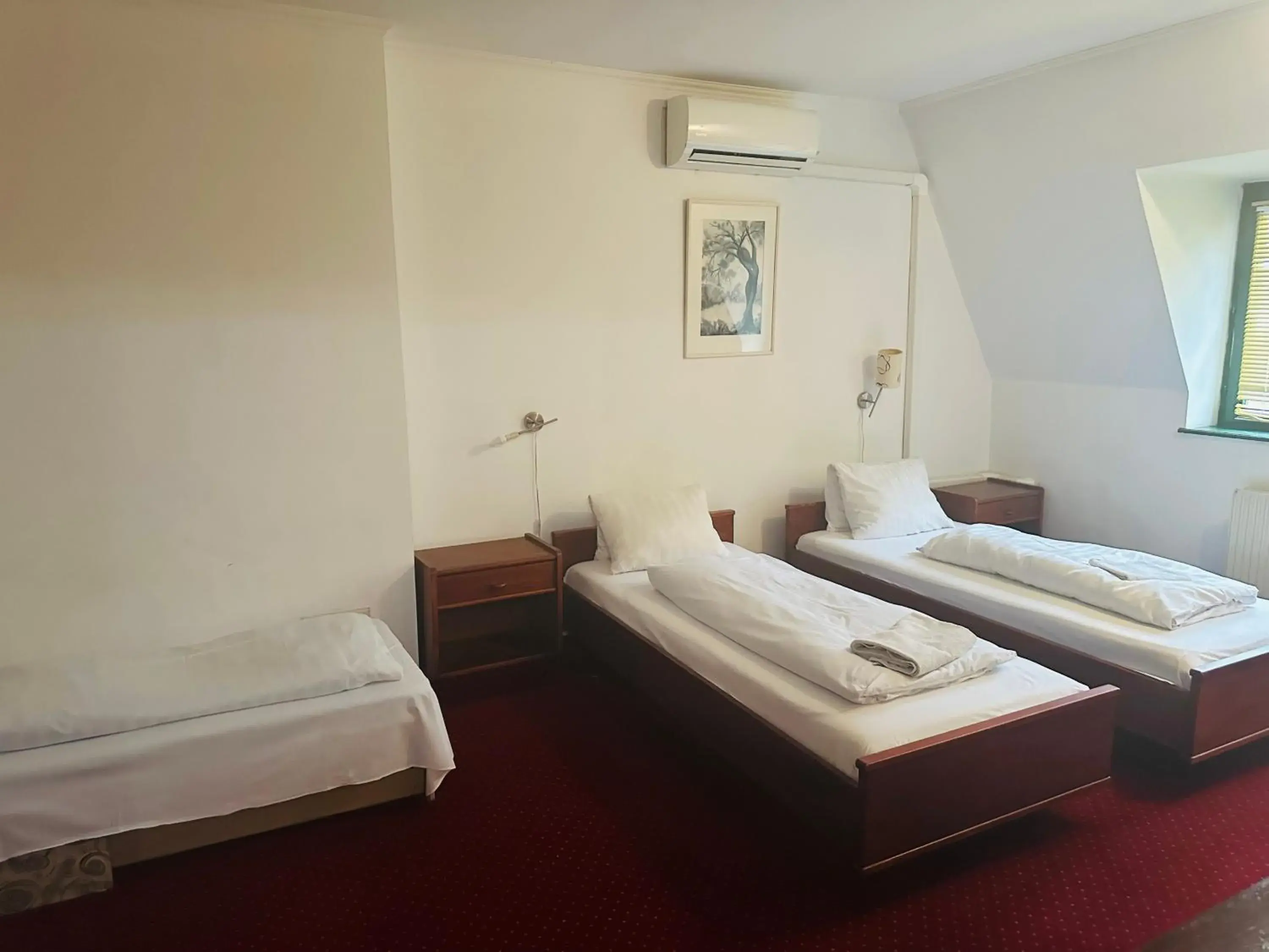 Superior Double Room - single occupancy in Hotel Amadeus Superior Double Room - single occupancy in Hotel Amadeus