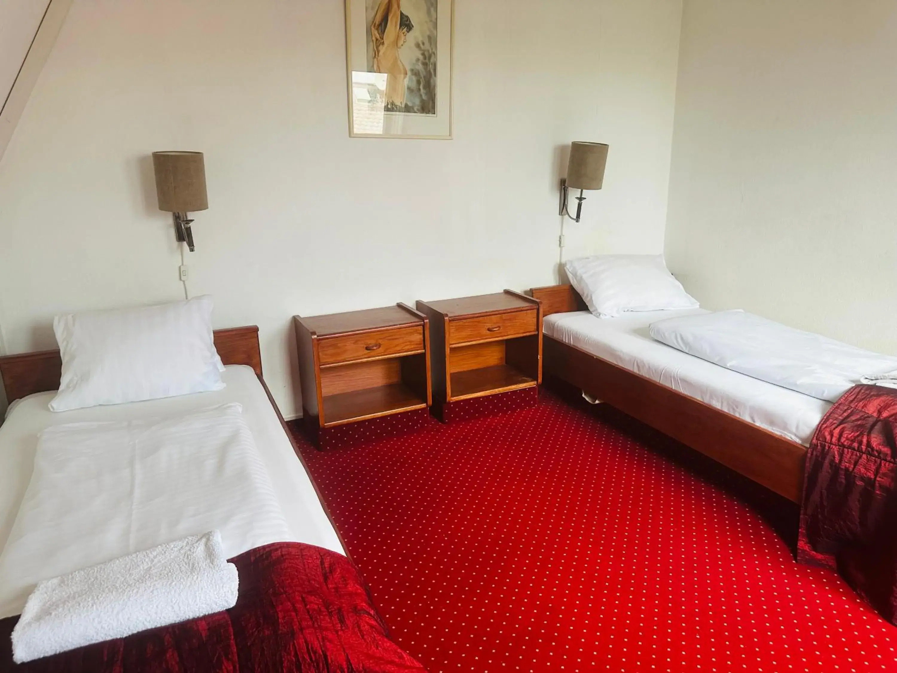 Double Room - single occupancy in Hotel Amadeus Double Room - single occupancy in Hotel Amadeus