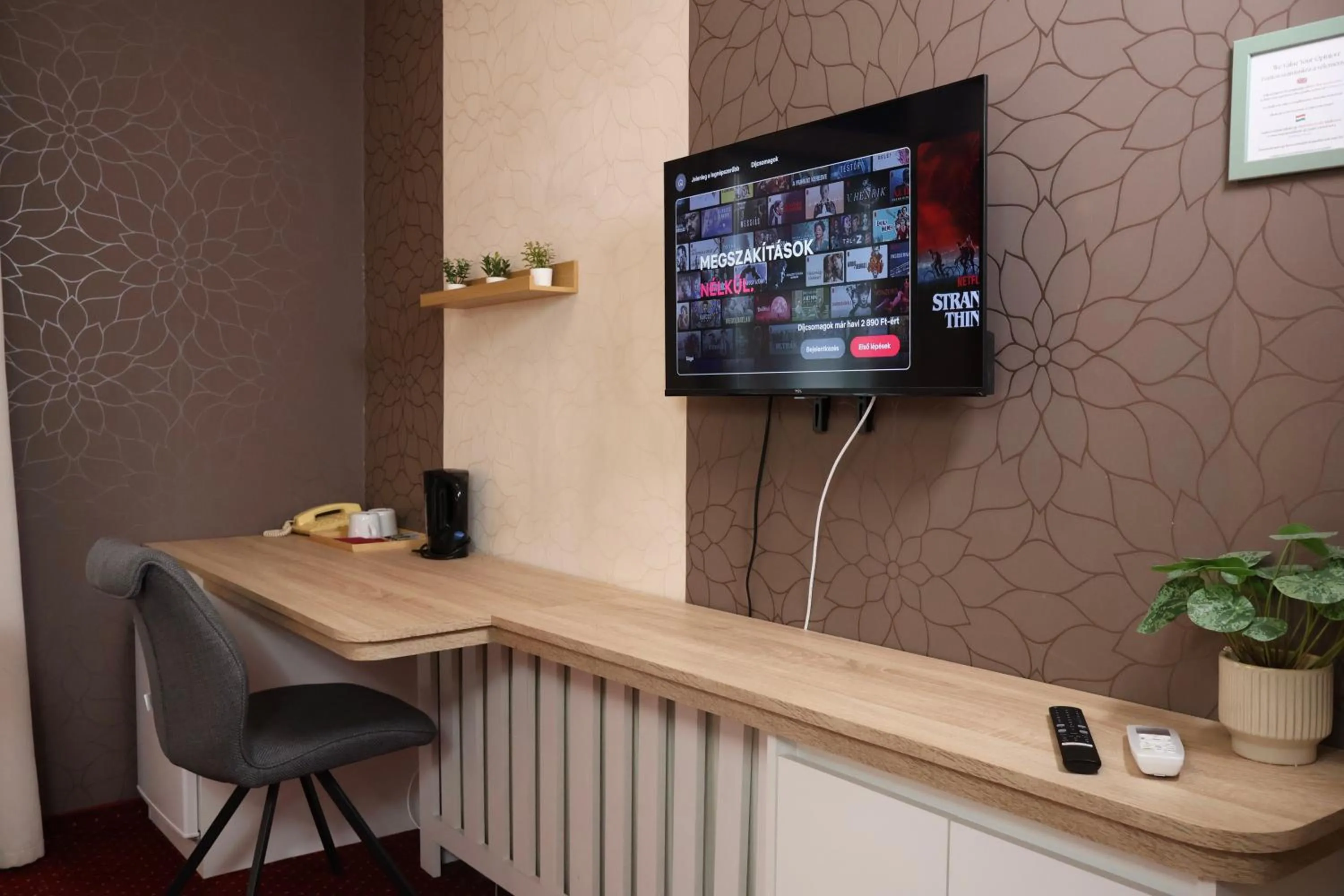 TV and multimedia in Hotel Amadeus