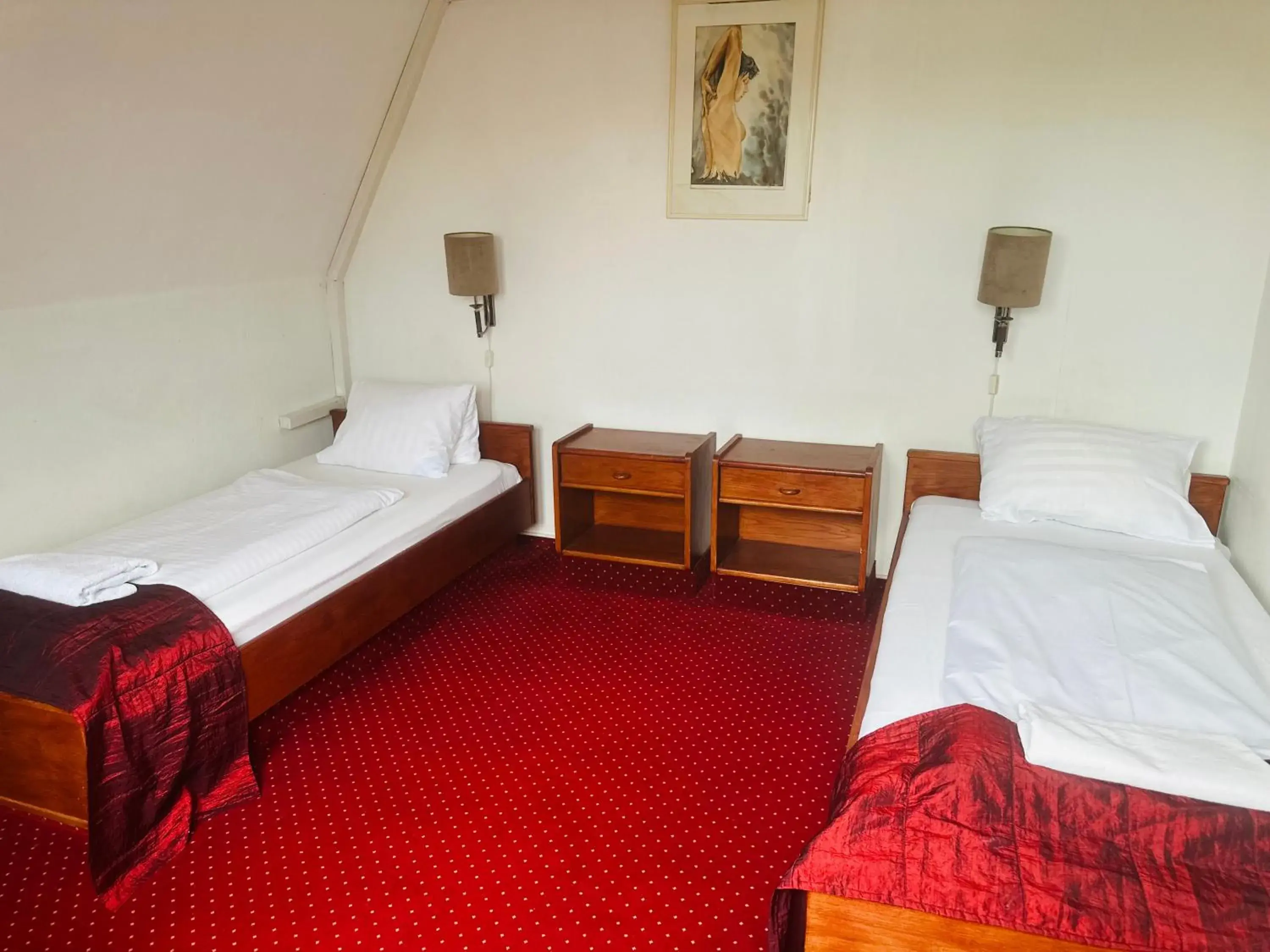Double Room - single occupancy in Hotel Amadeus Double Room - single occupancy in Hotel Amadeus