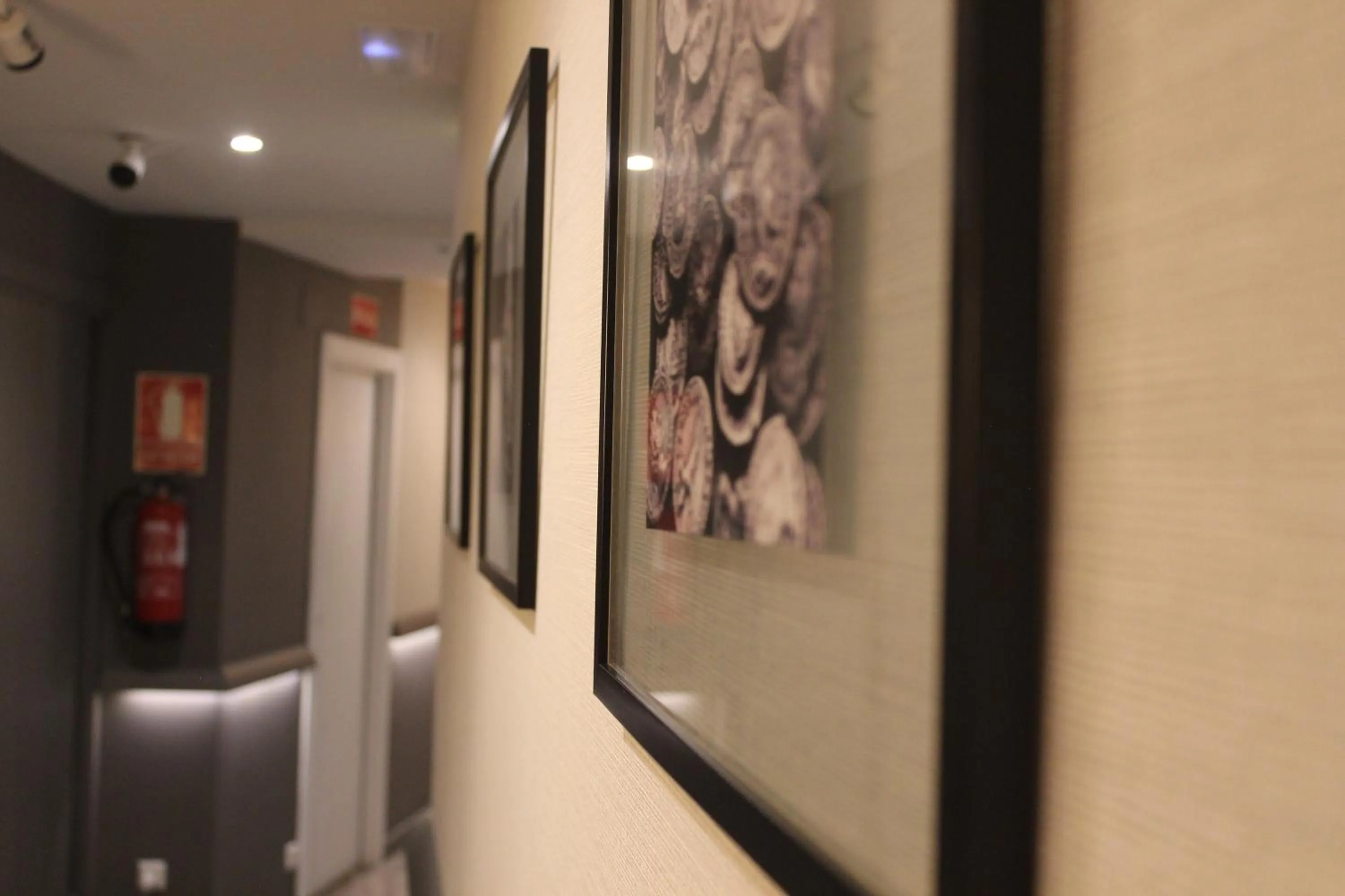 Area and facilities in Hotel Boutique Teatro Romano