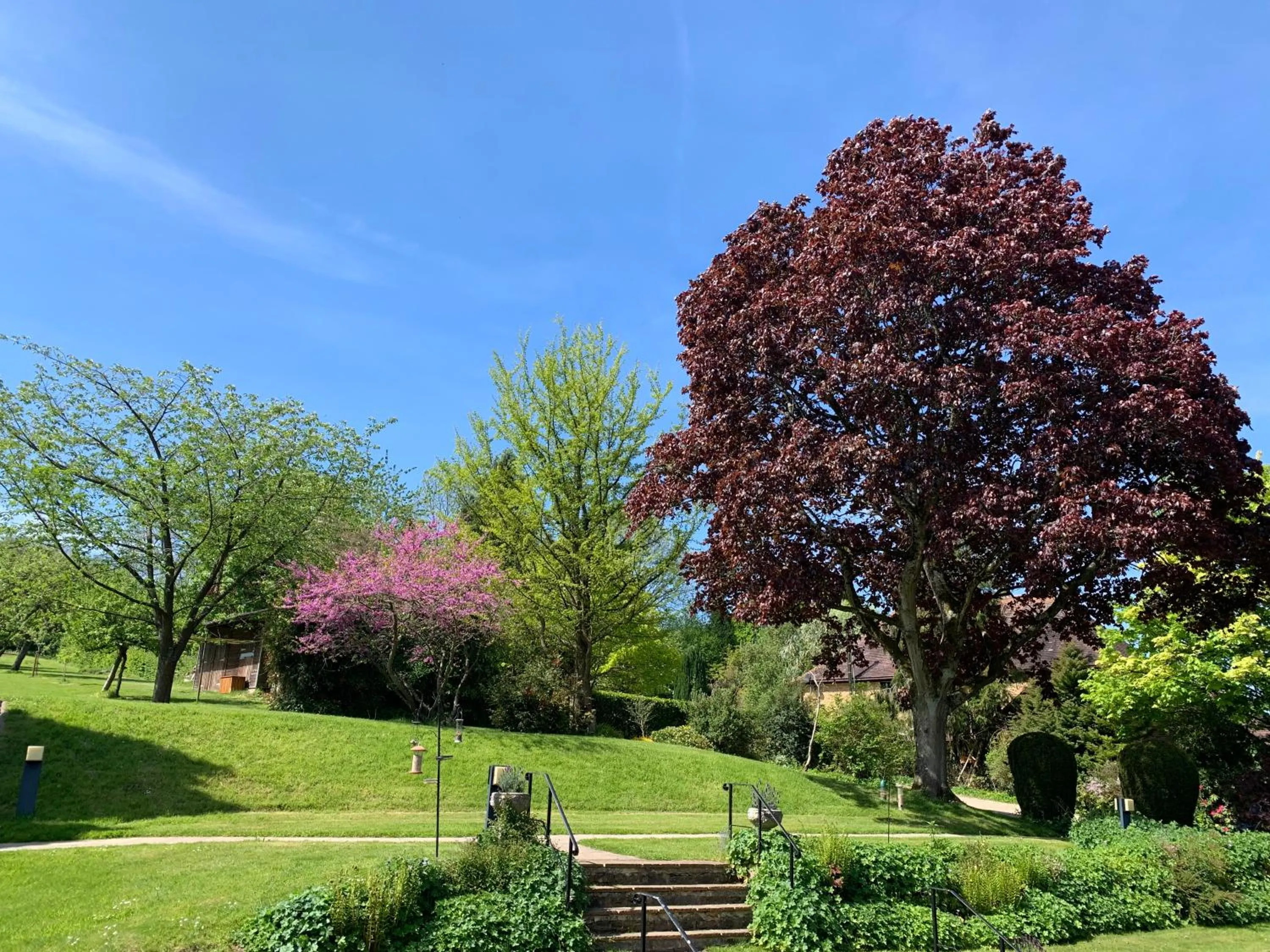 Garden view in Little Norton Mill