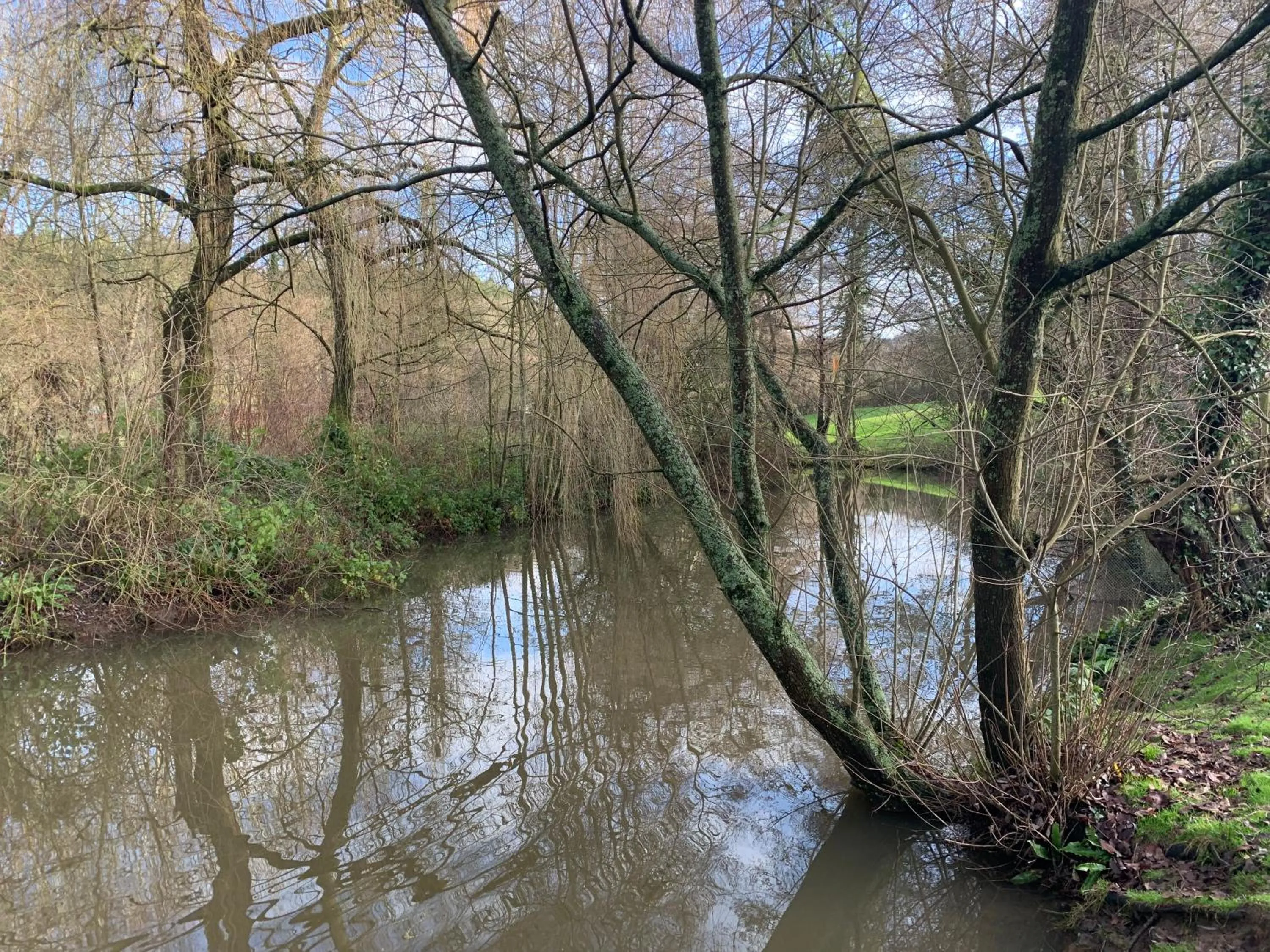 Lake view in Little Norton Mill