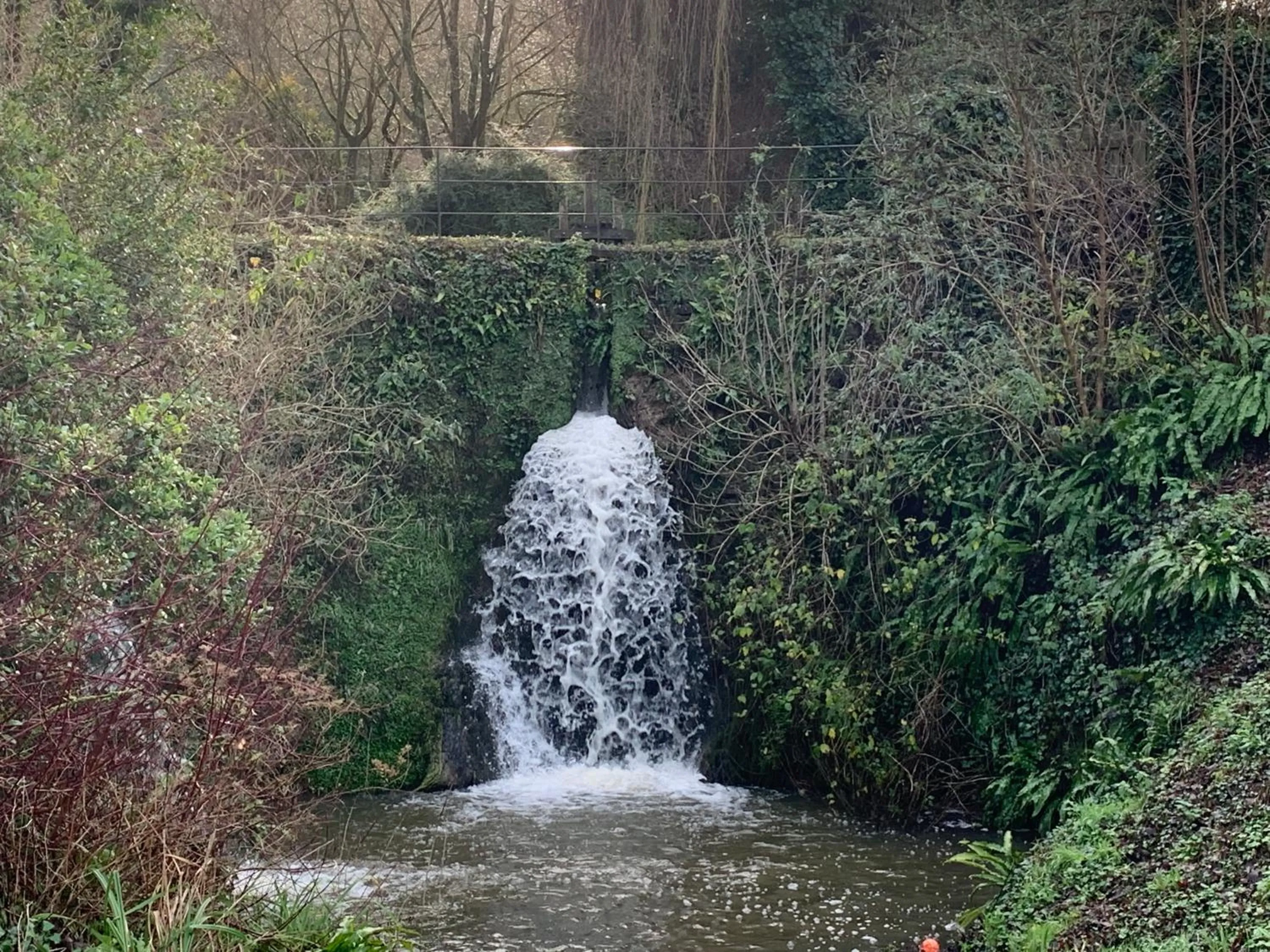 Garden view in Little Norton Mill