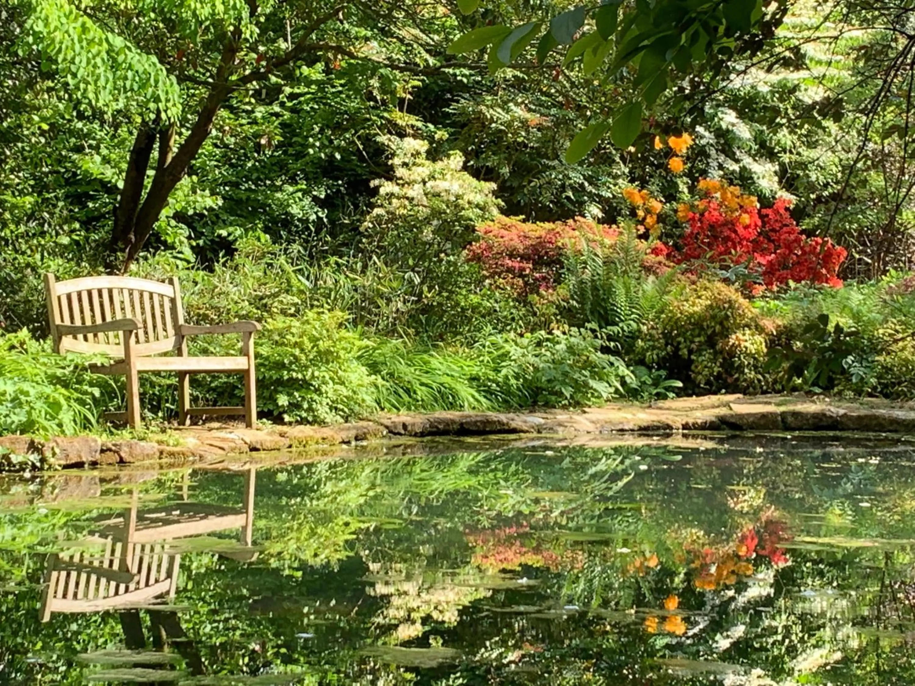 Garden in Little Norton Mill