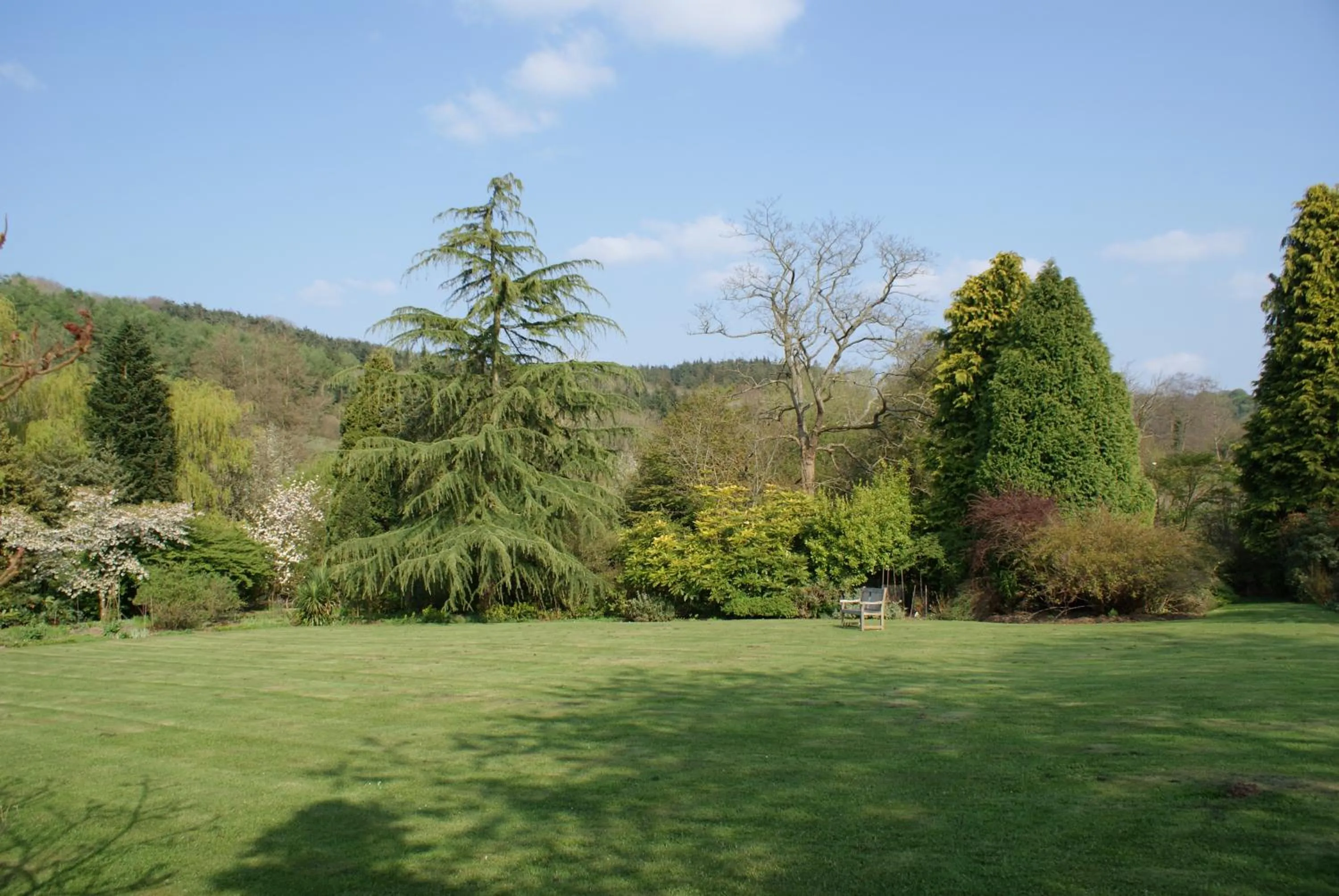 Garden in Little Norton Mill