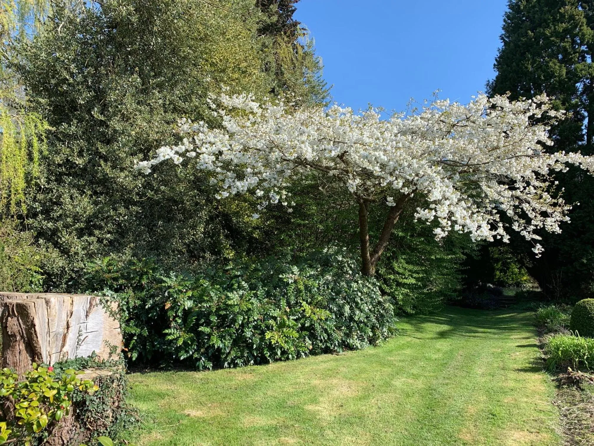 Garden in Little Norton Mill
