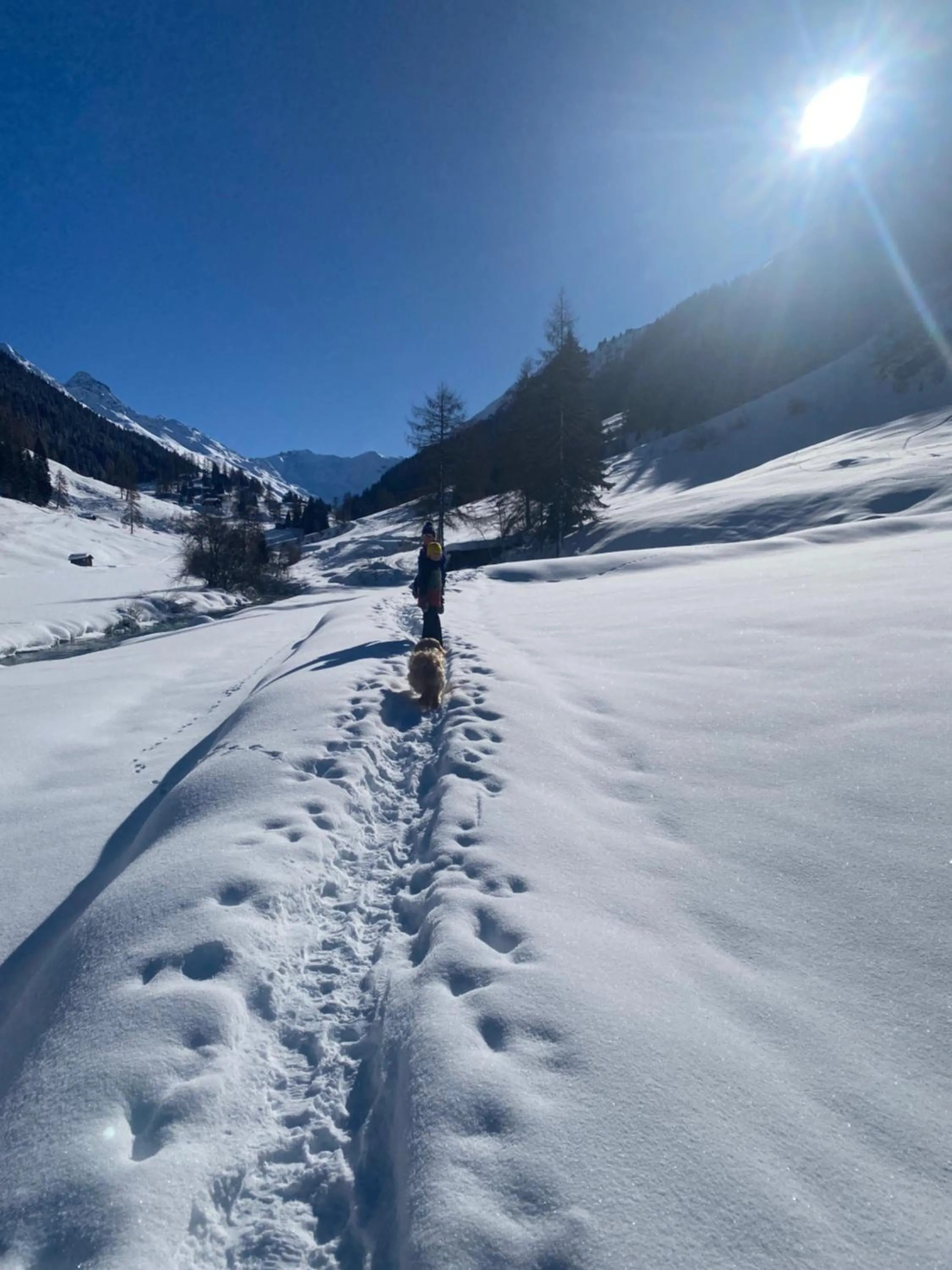 Winter in Shima-Davos