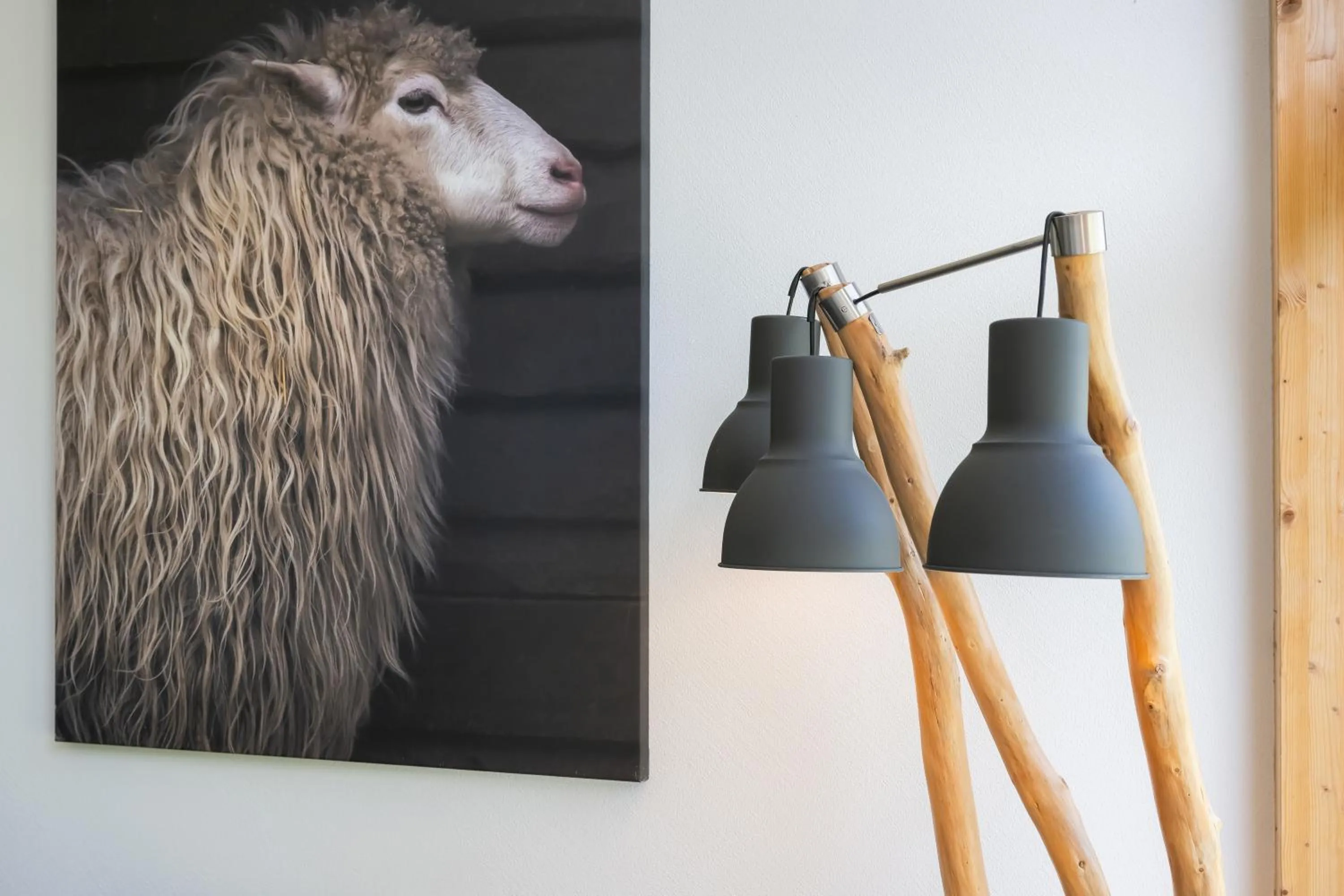 Communal lounge/ TV room in Shima-Davos