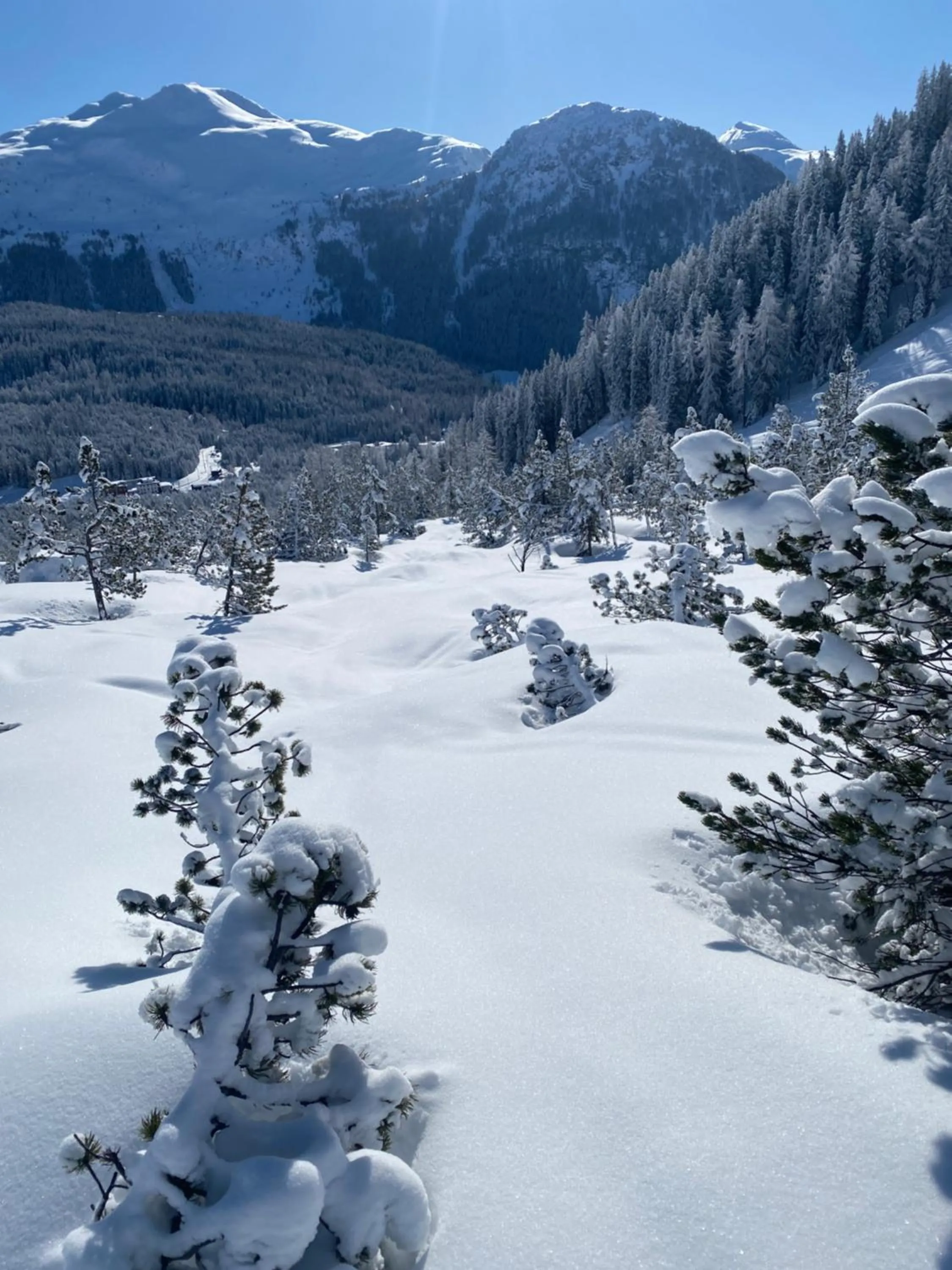 Winter in Shima-Davos