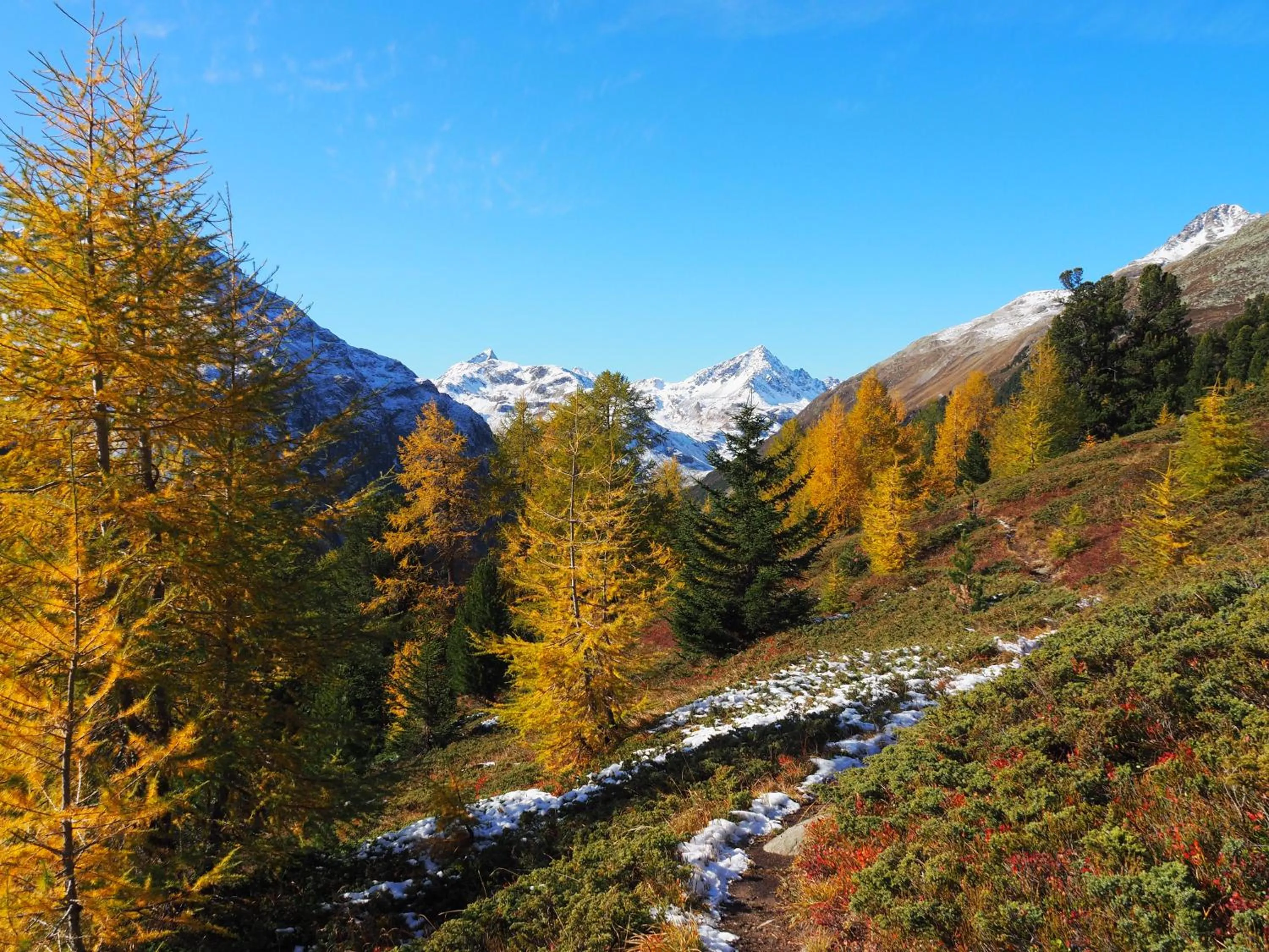 Hiking in Shima-Davos