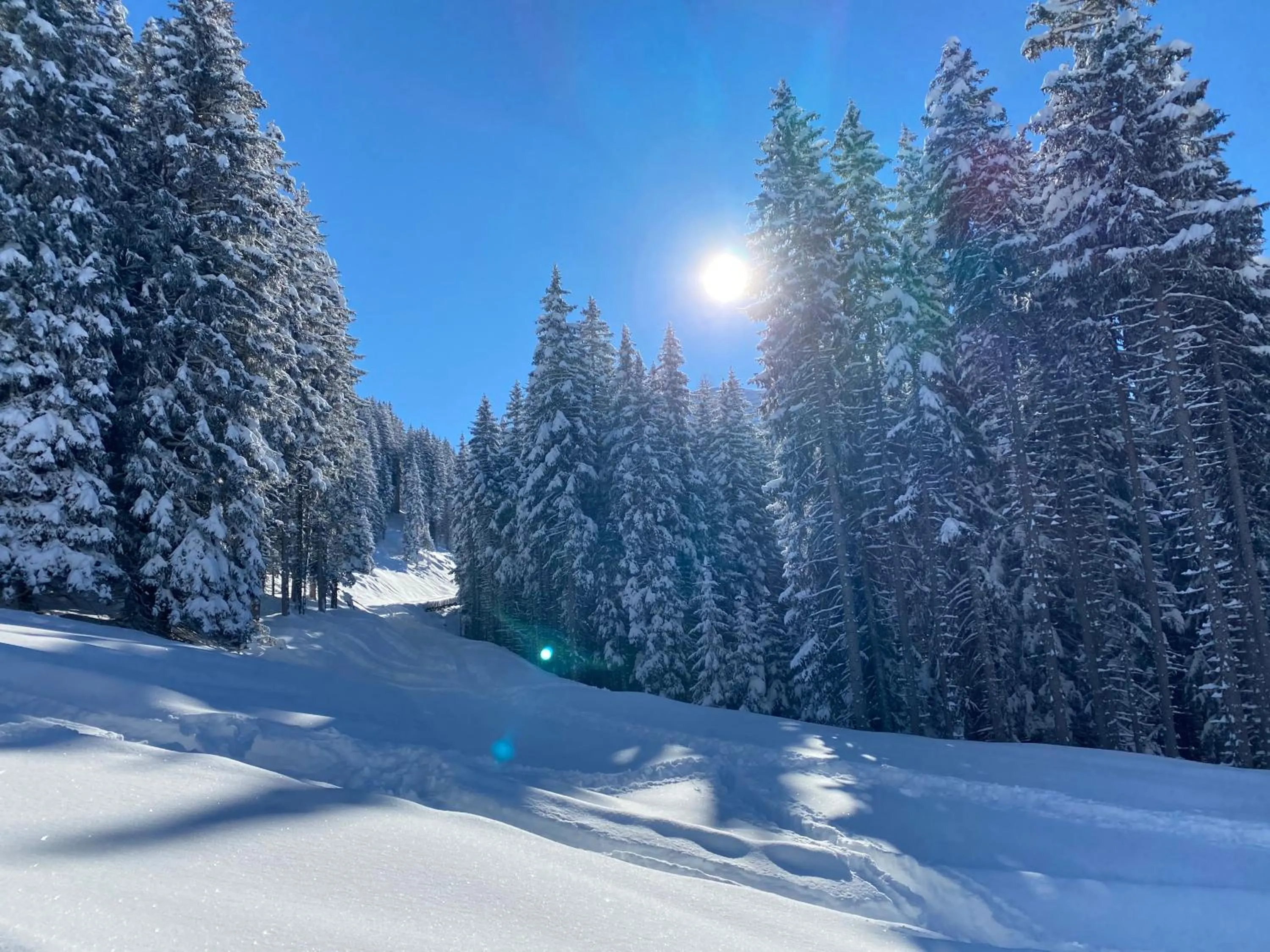 Winter in Shima-Davos