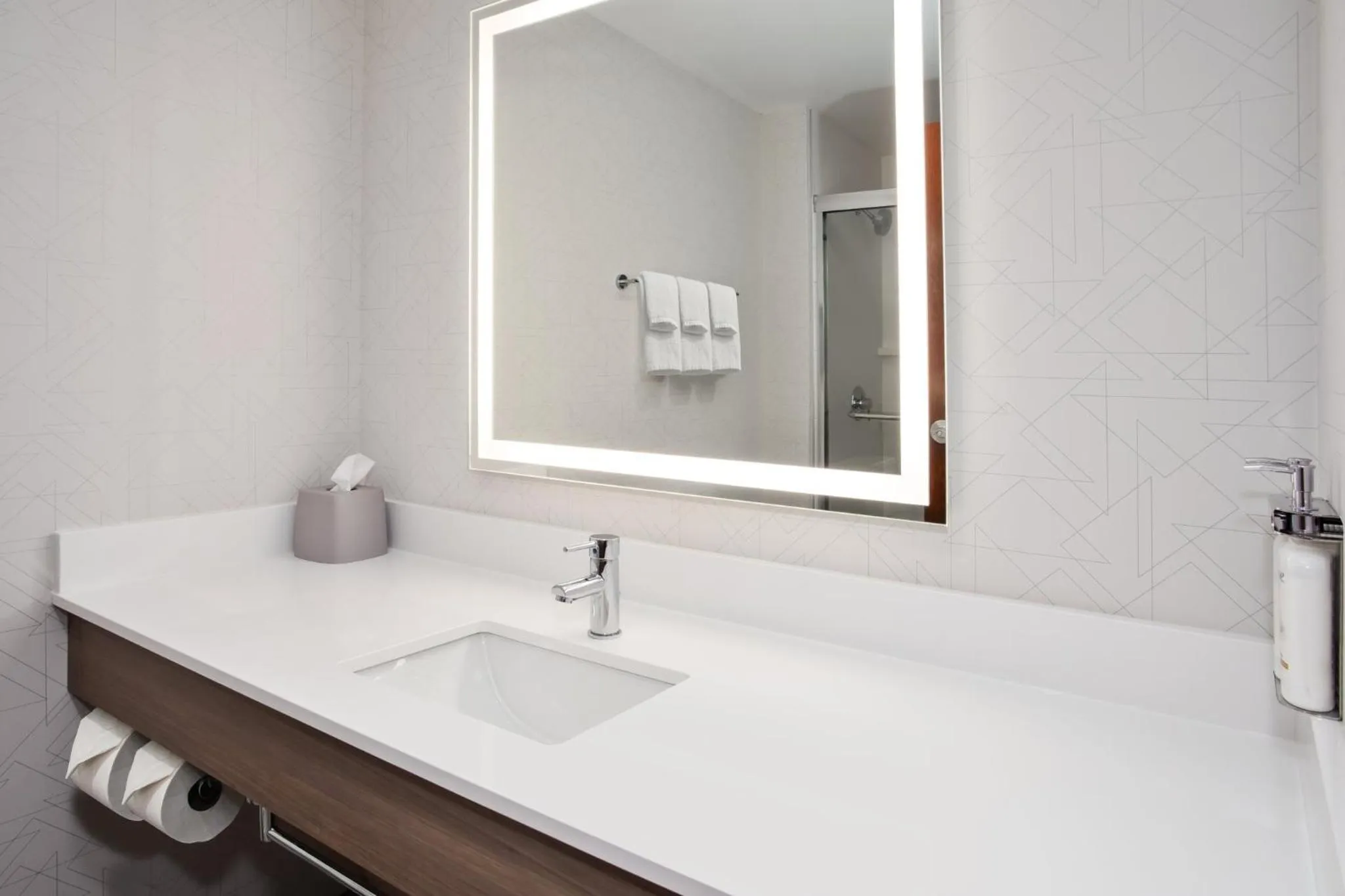 Bathroom in Holiday Inn Express Hotel & Suites - Belleville Area by IHG
