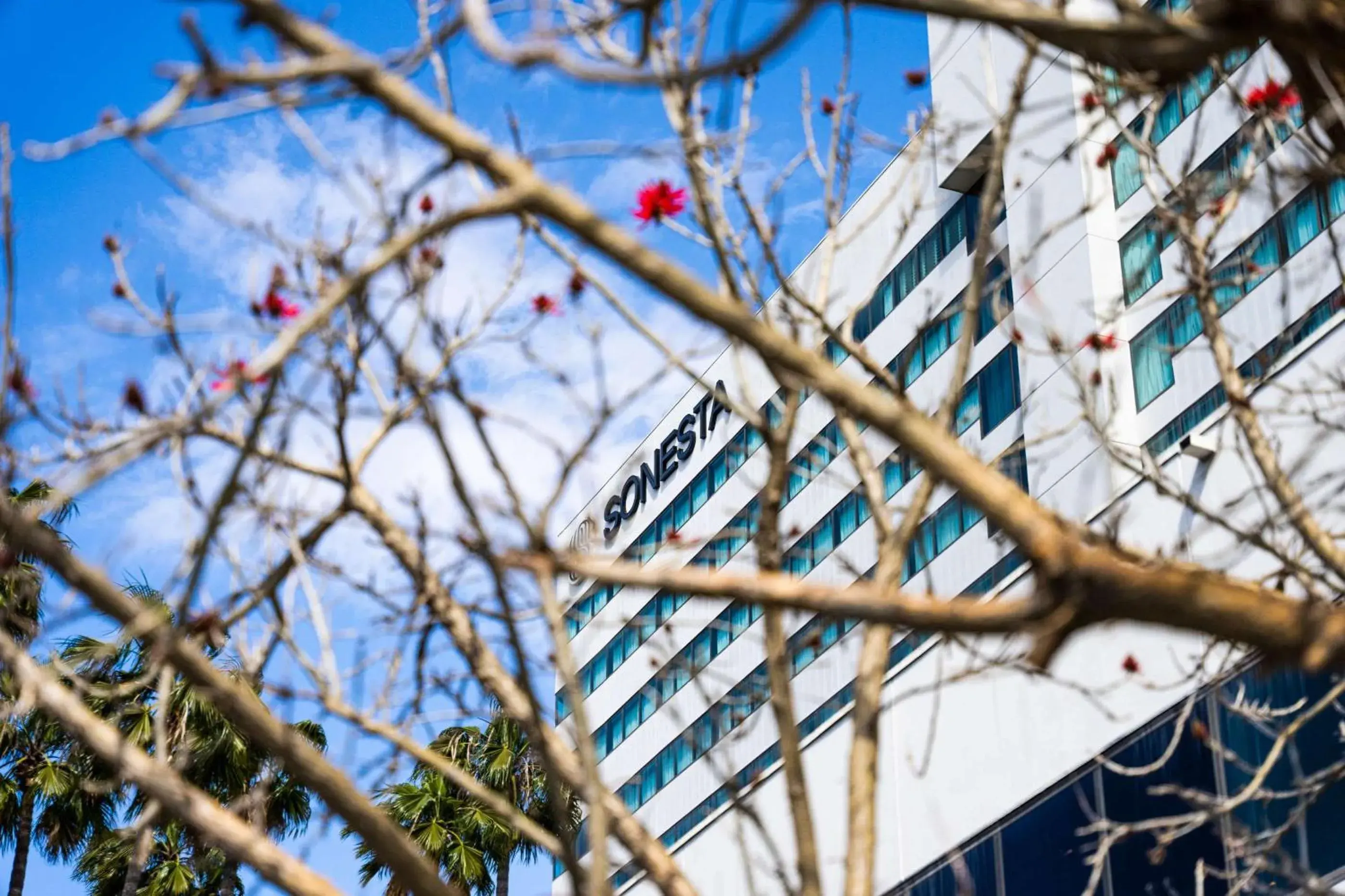 Property building in Sonesta Irvine John Wayne Airport Property building in Sonesta Irvine John Wayne Airport