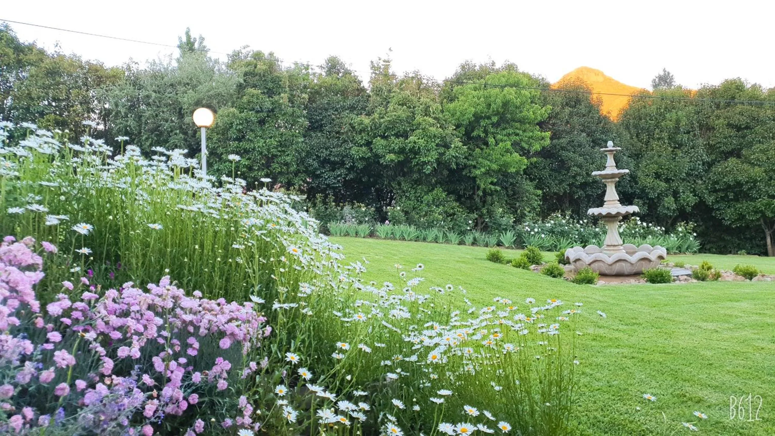 Garden in Ash River Lodge