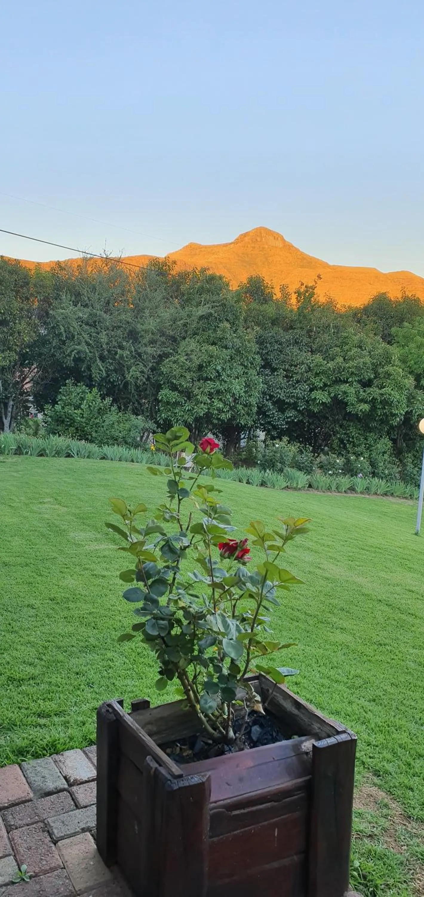 Garden view in Ash River Lodge